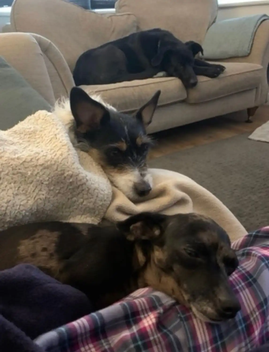 image-11