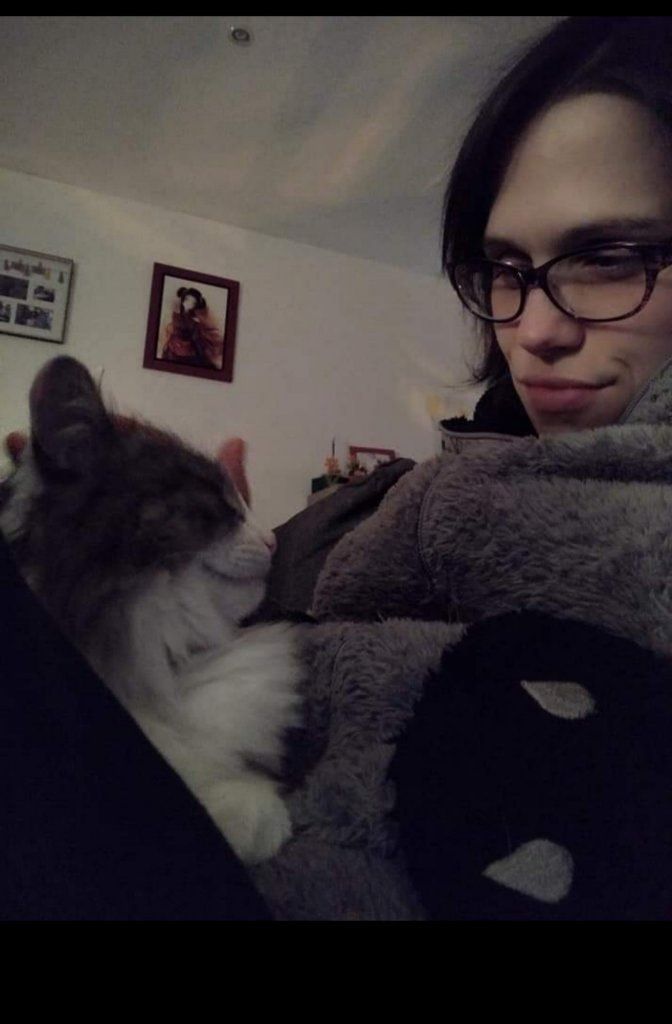 image-8