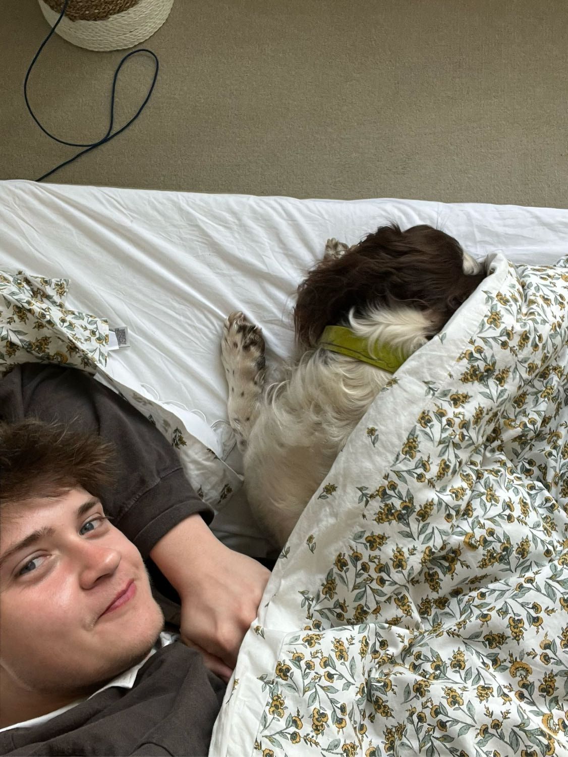 image-10