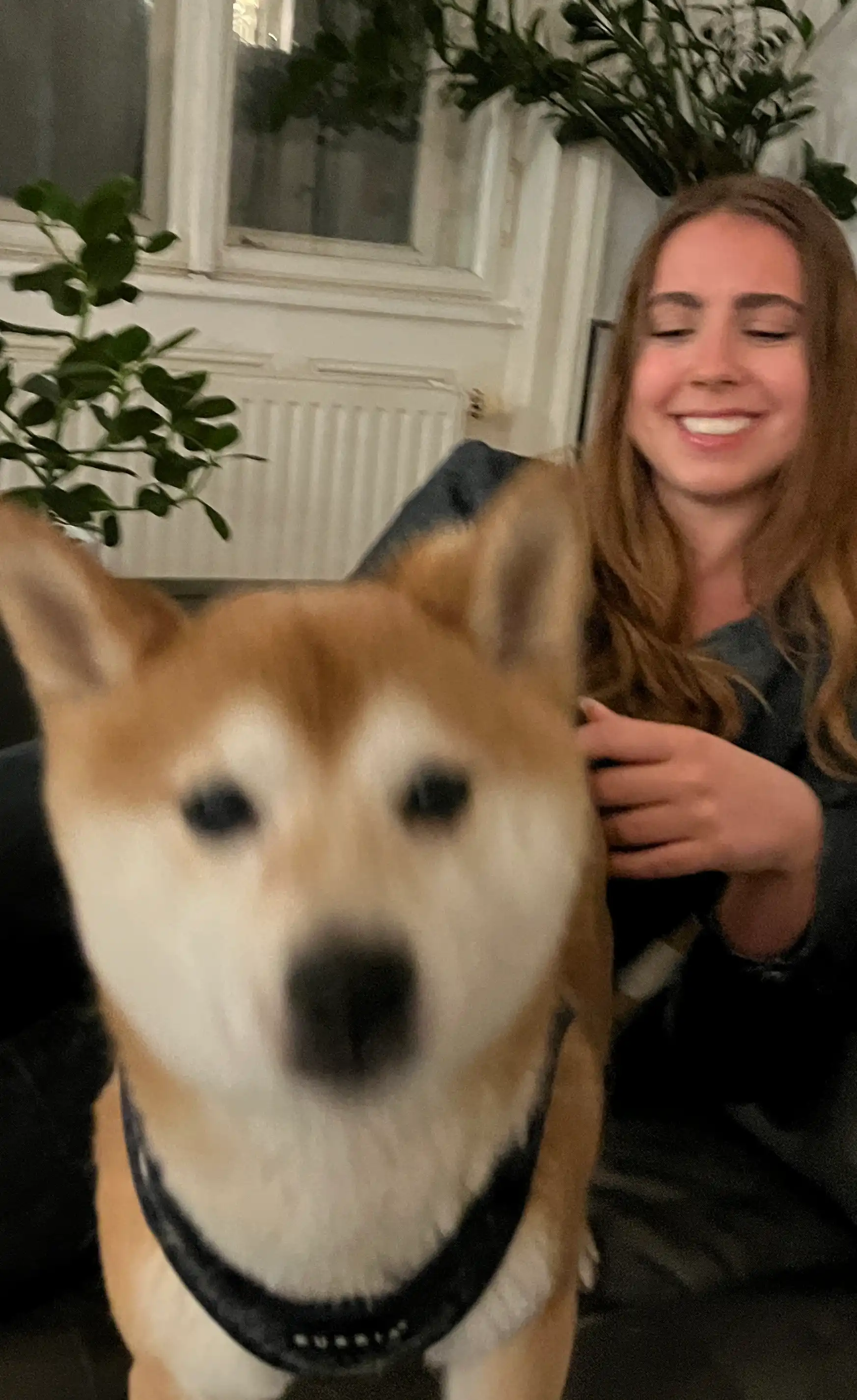 image-6