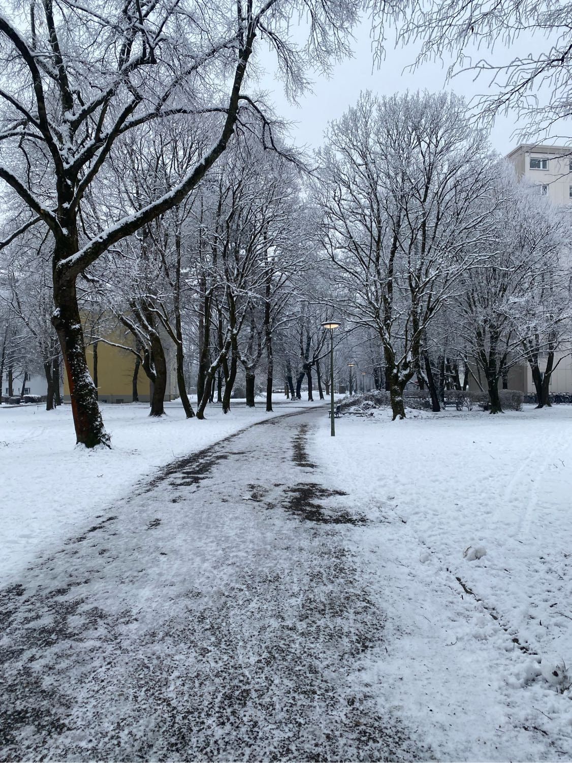 image-7