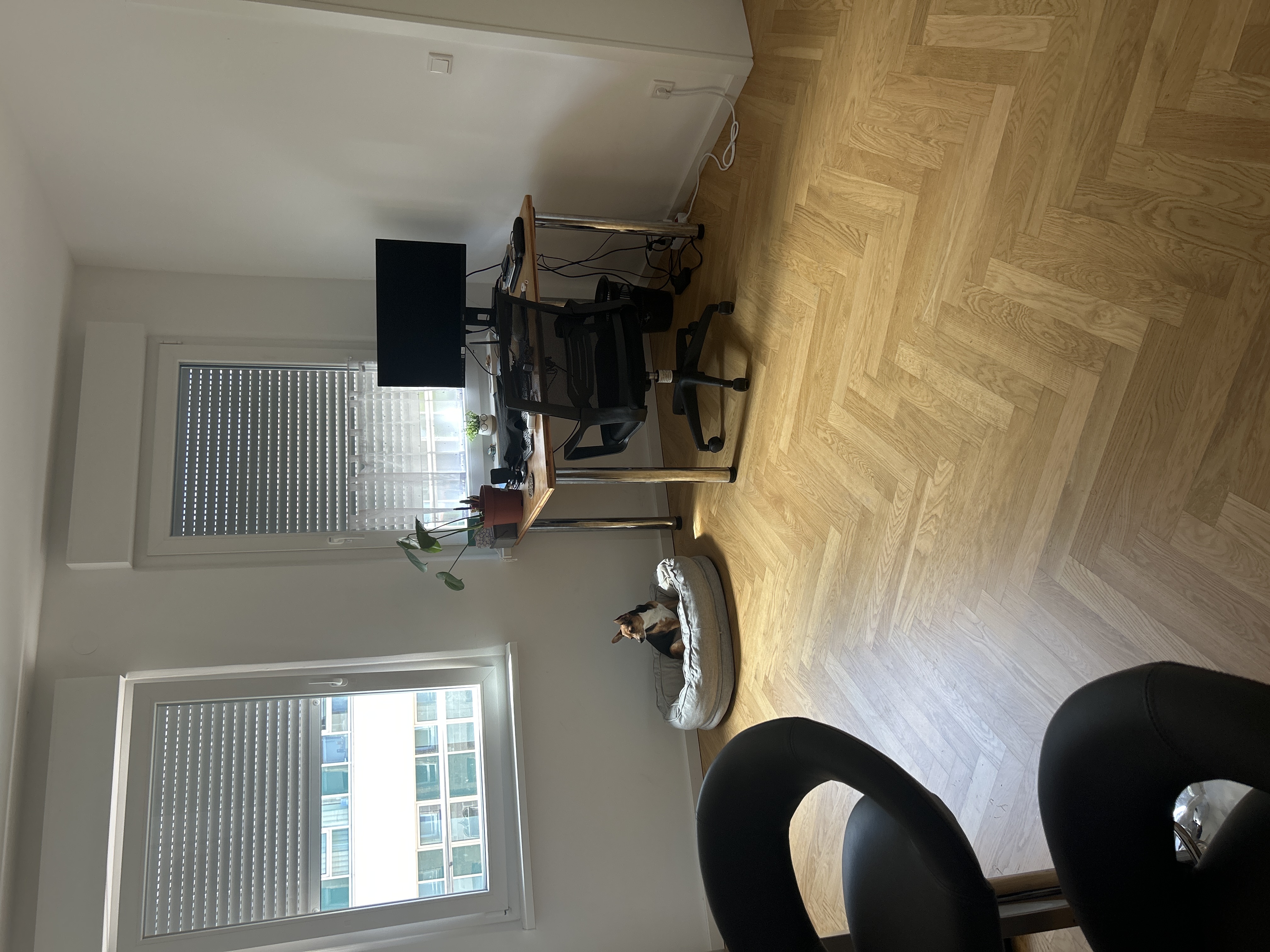image-15