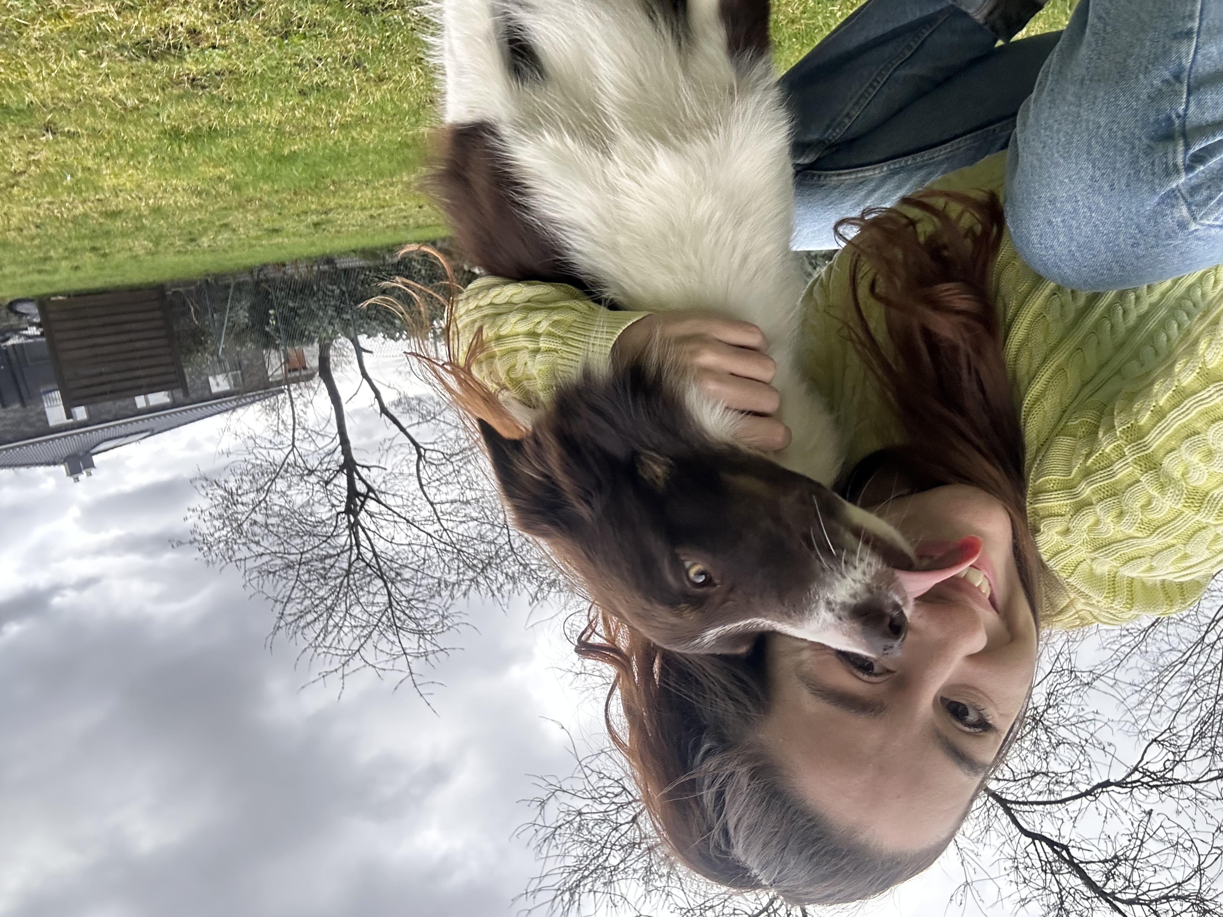 image-0