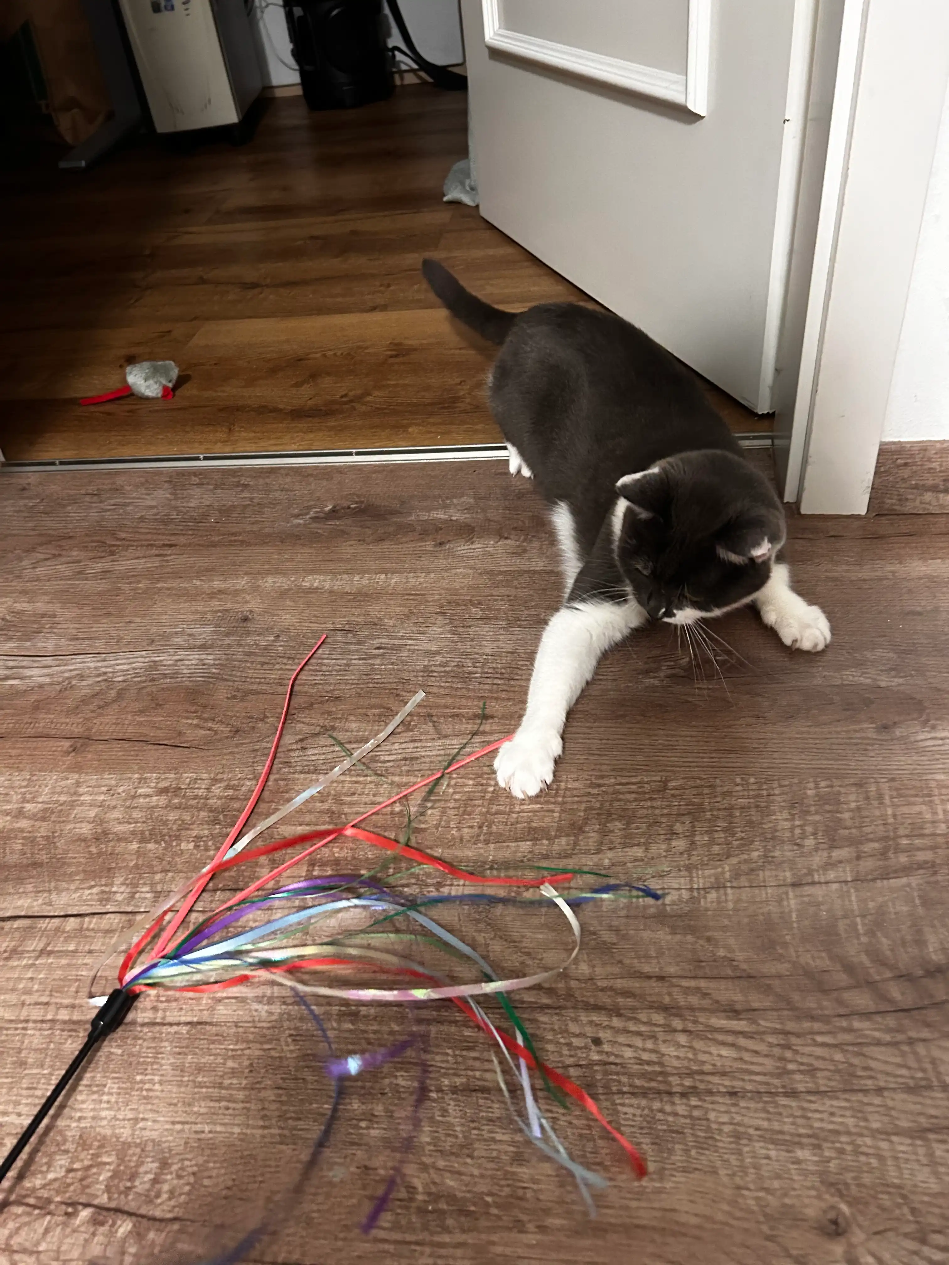 image-6