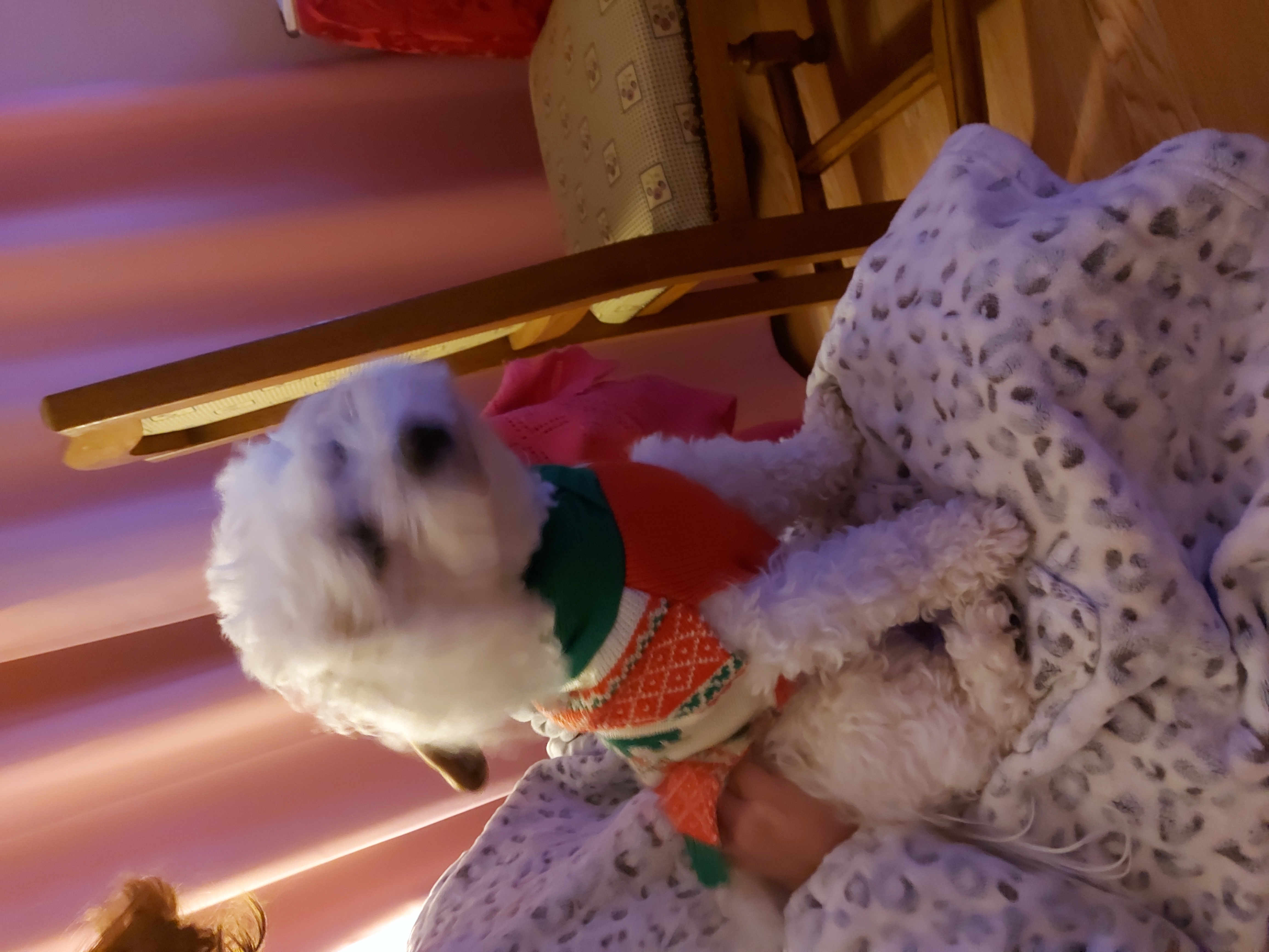 image-5