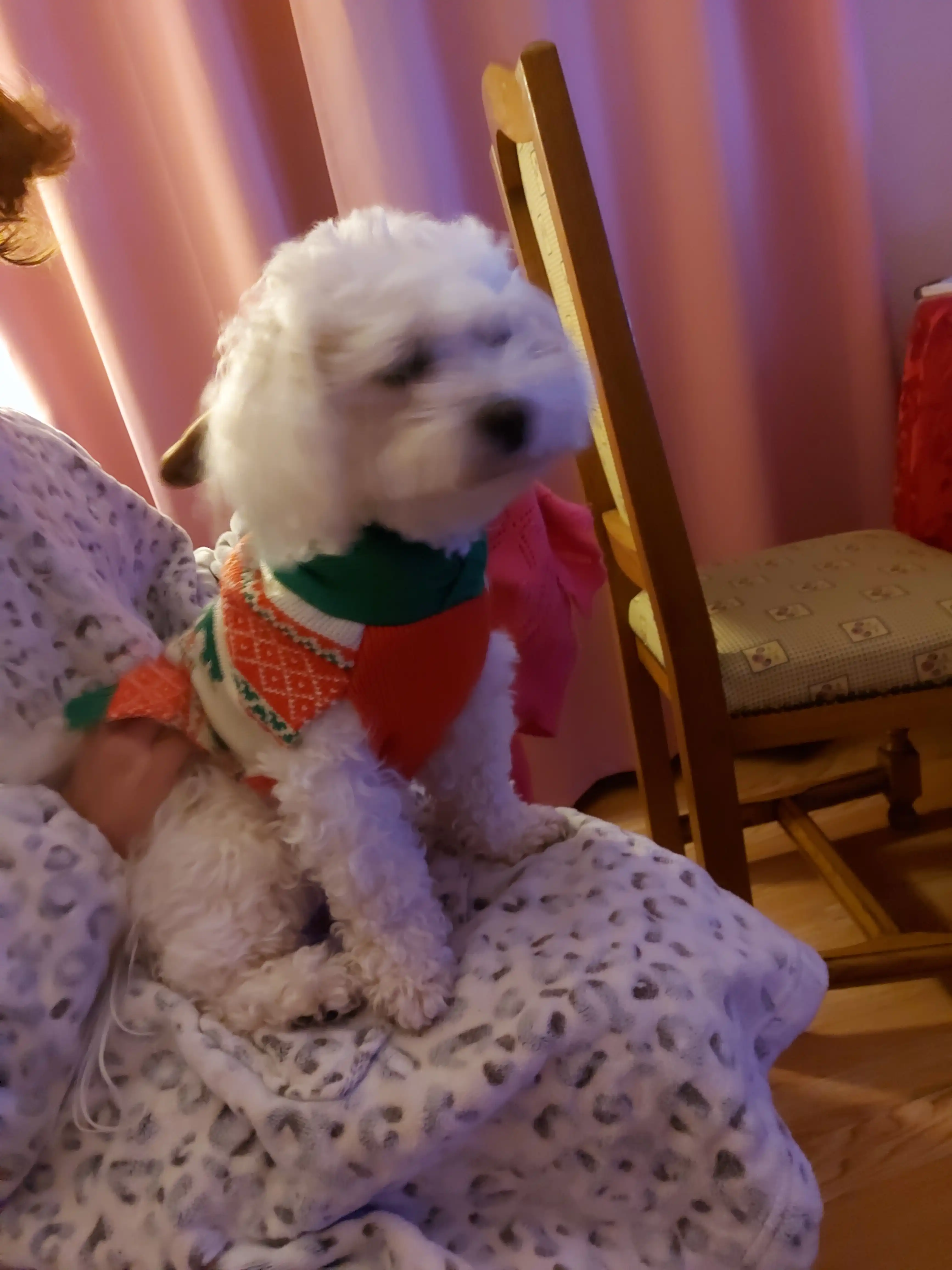 image-5