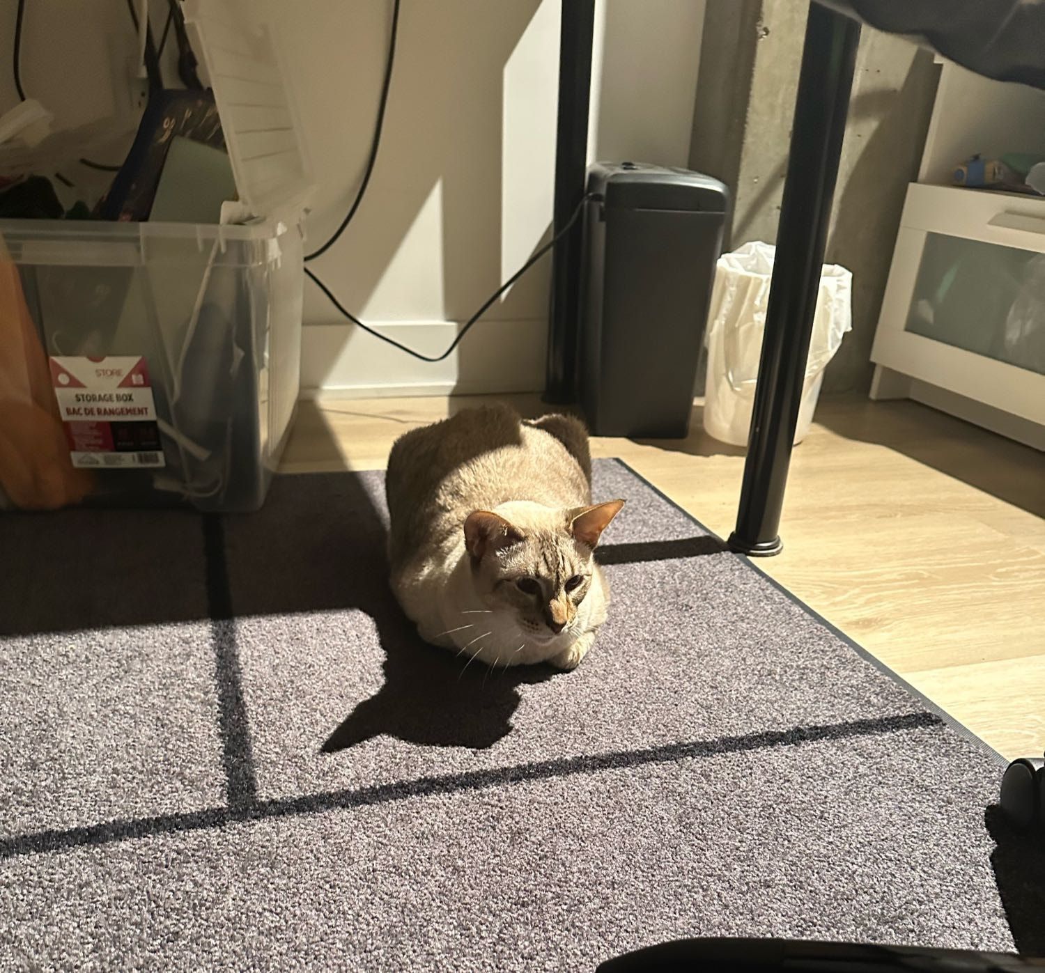 image-18