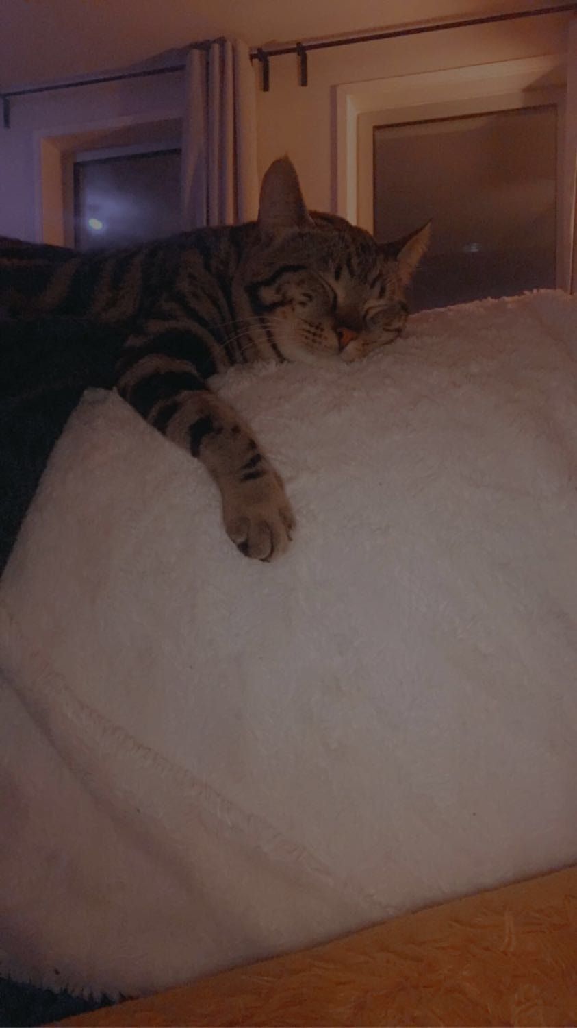 image-8