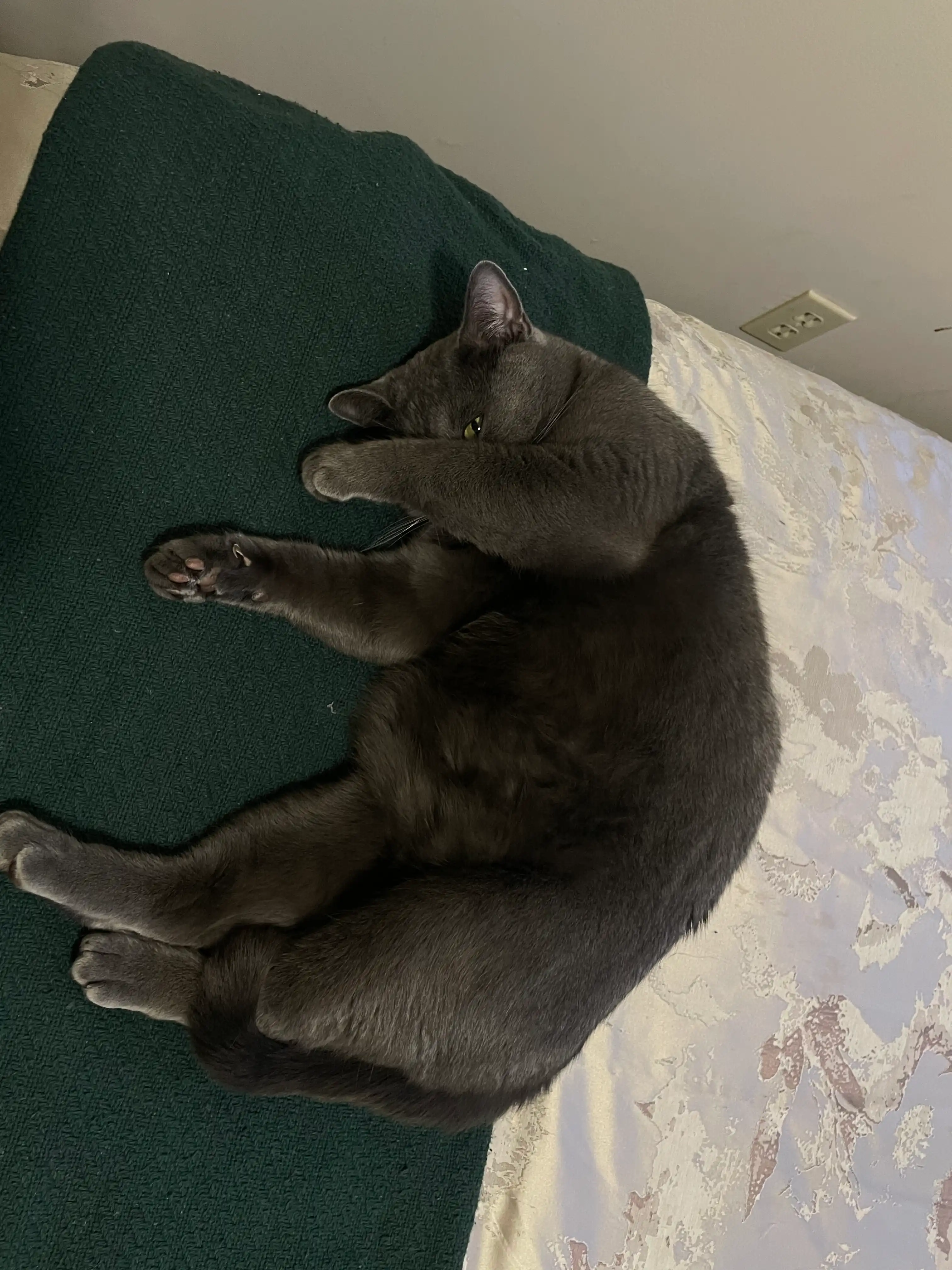 image-13