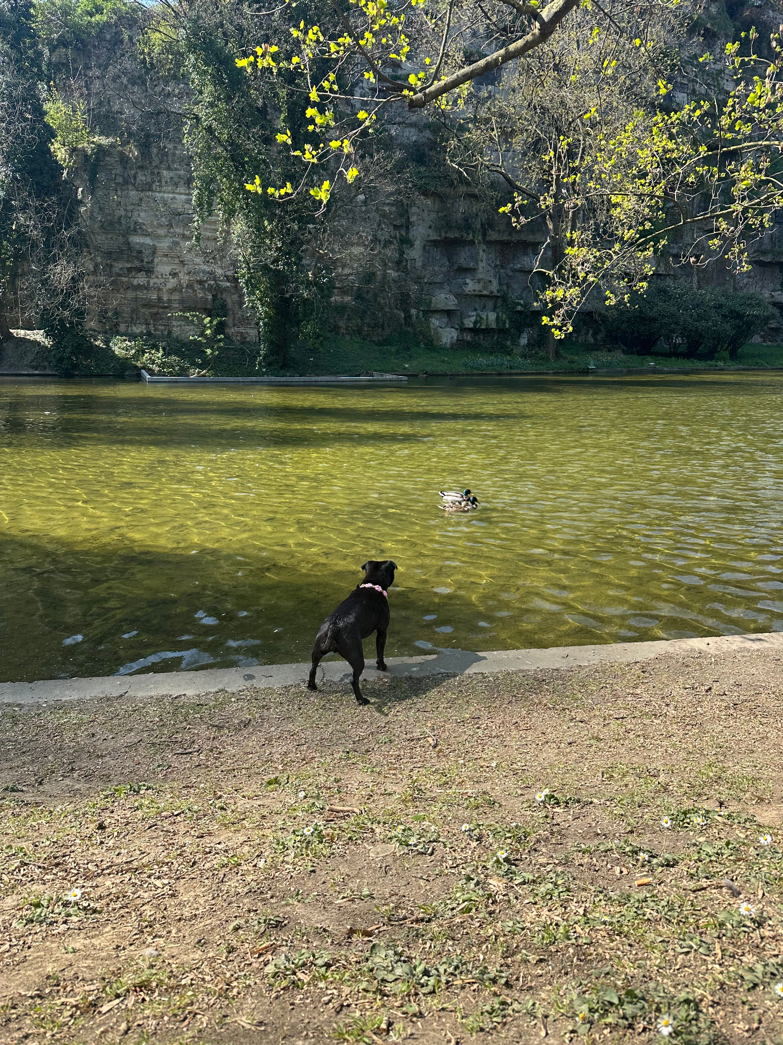 image-10