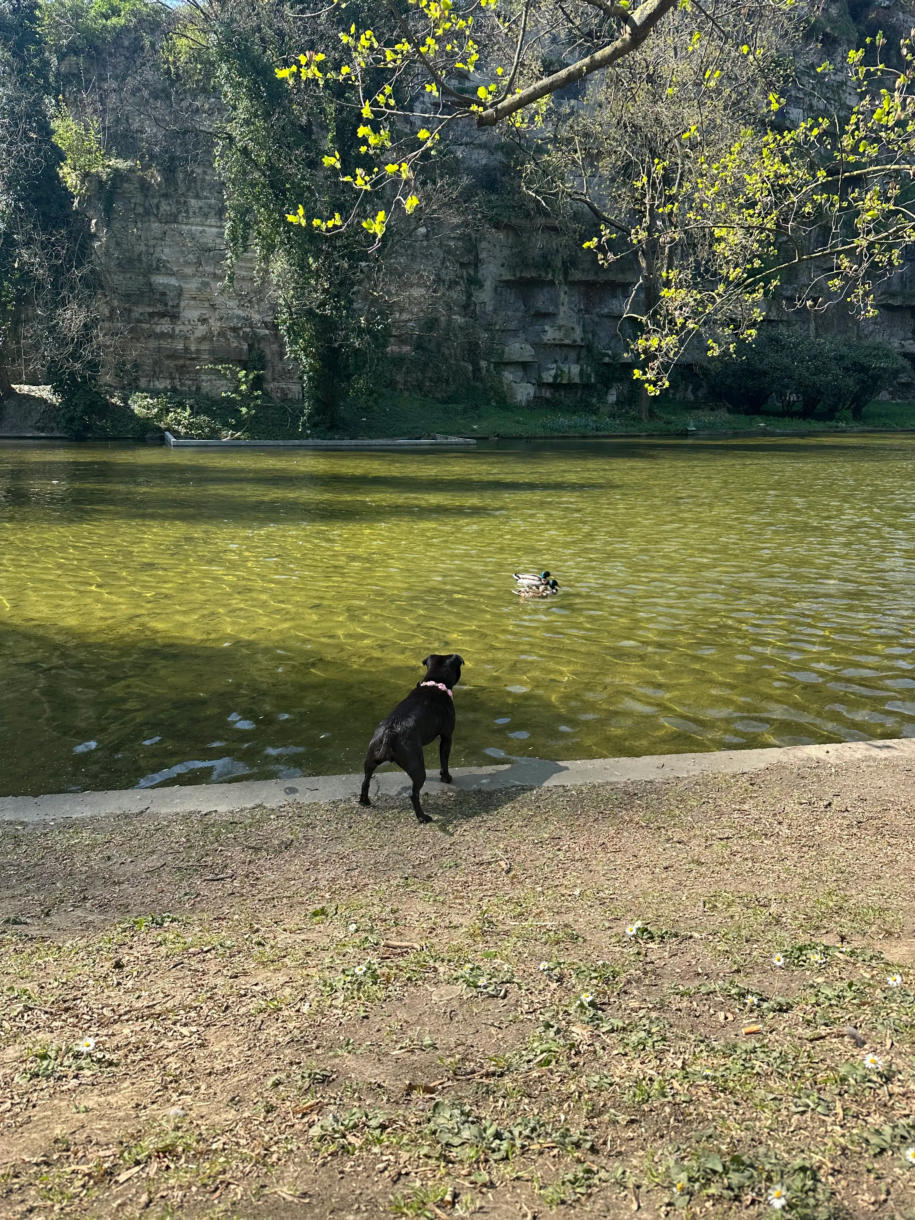 image-10