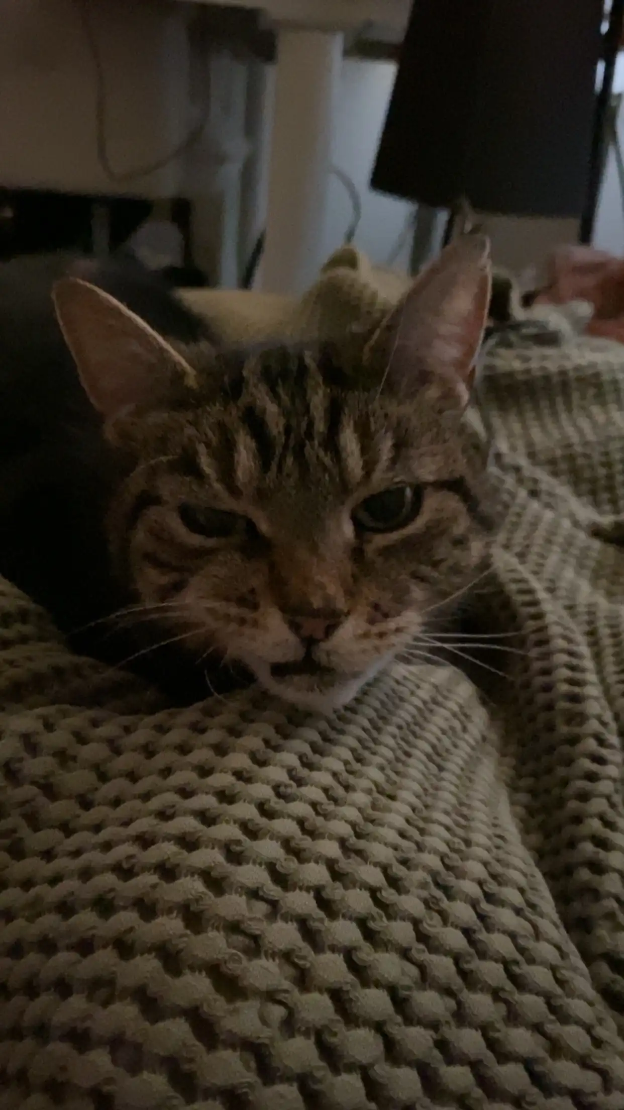 image-7