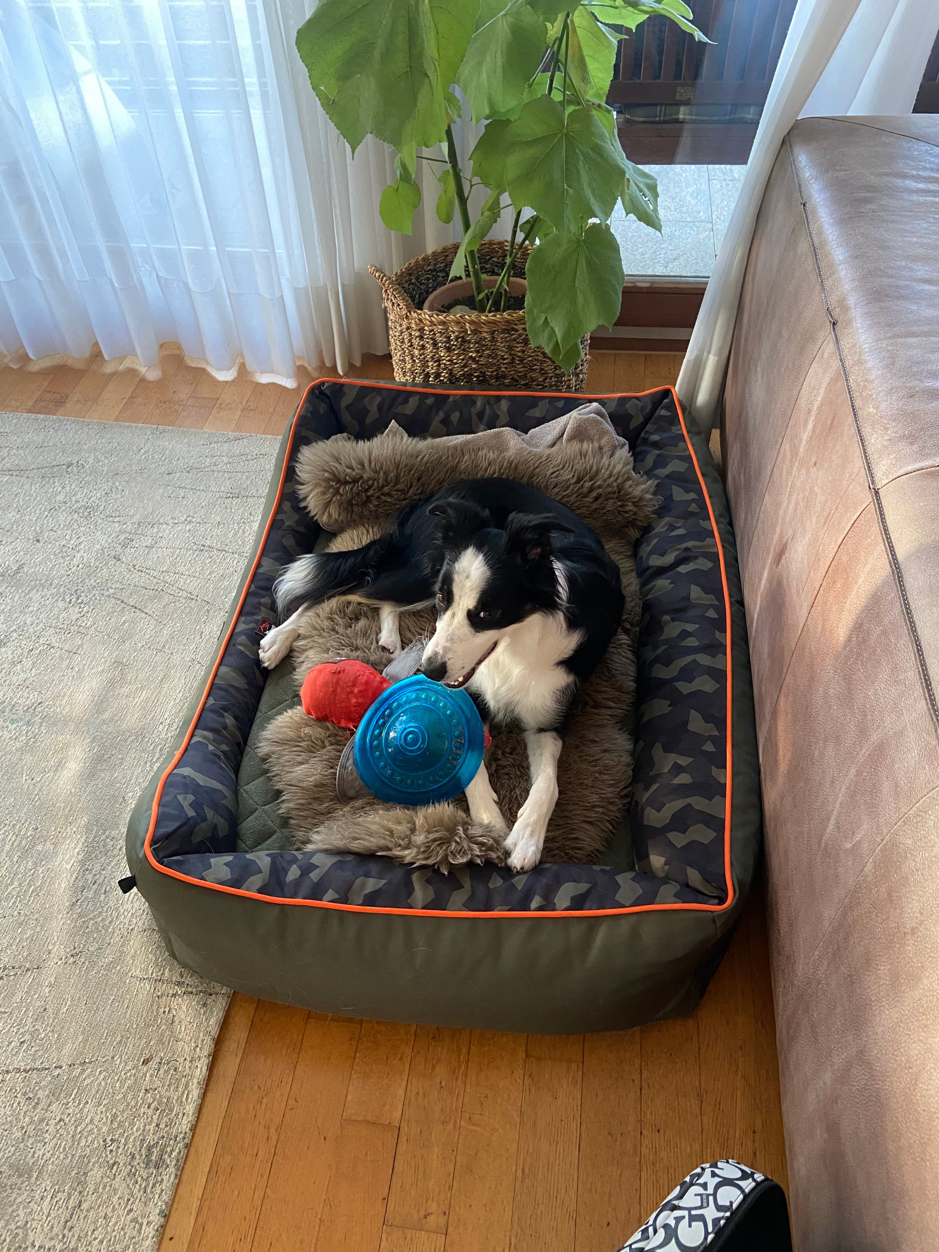 image-4
