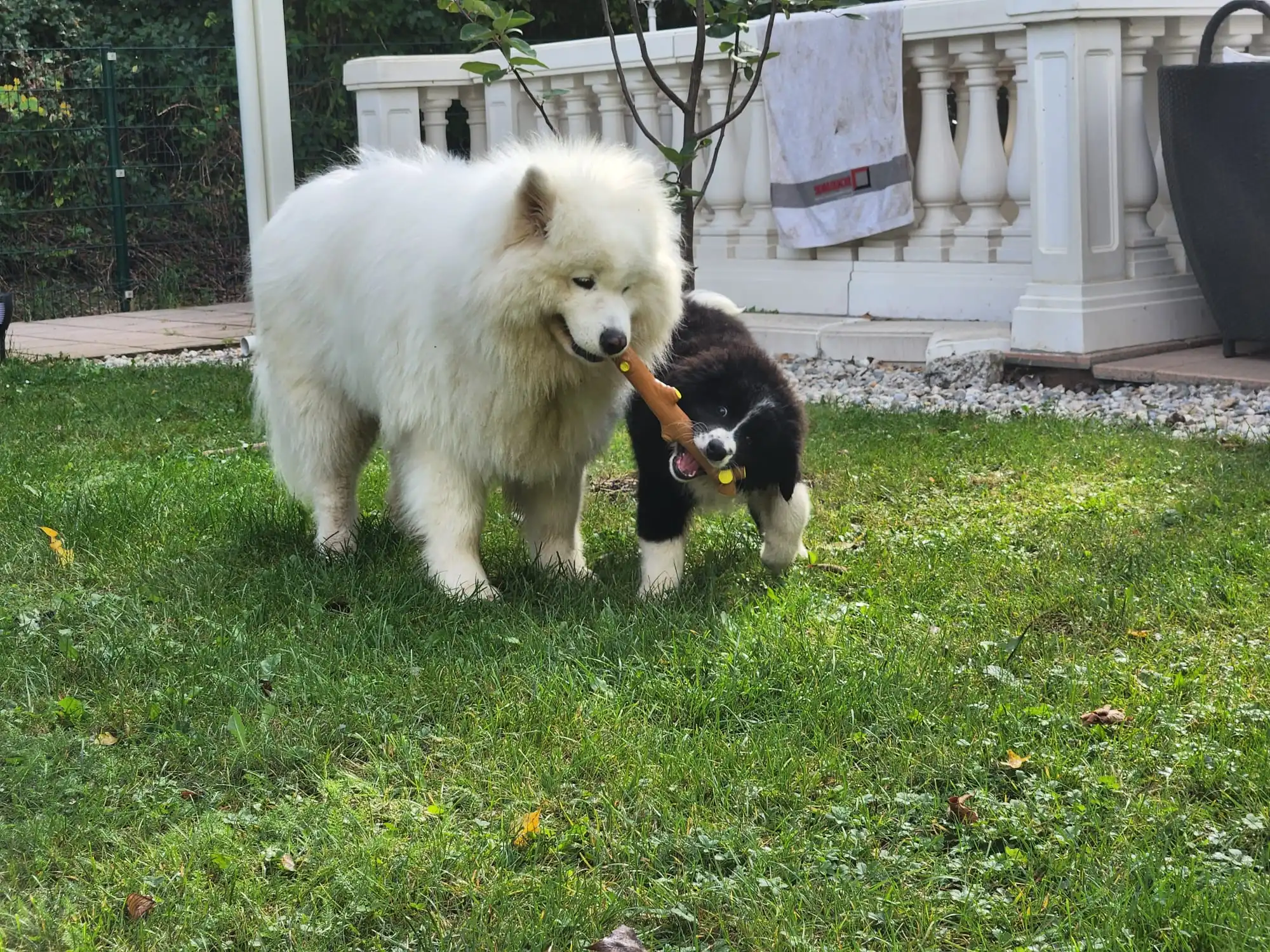 image-5