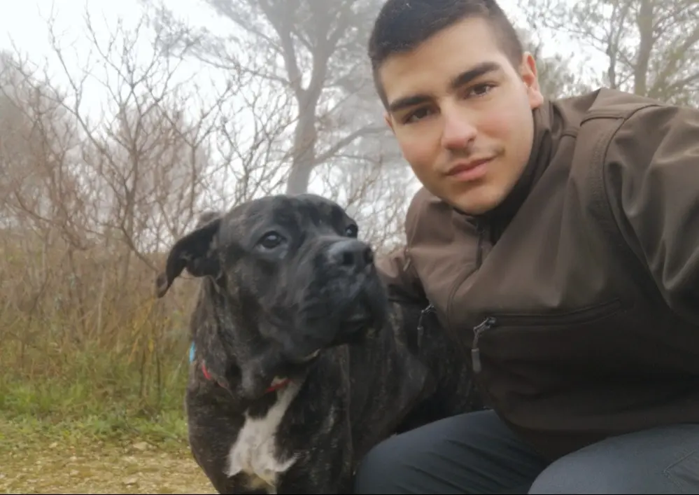 image-3