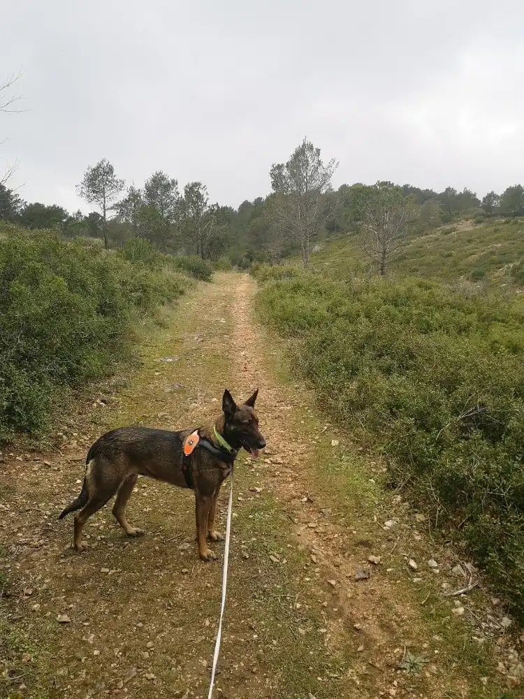 image-9