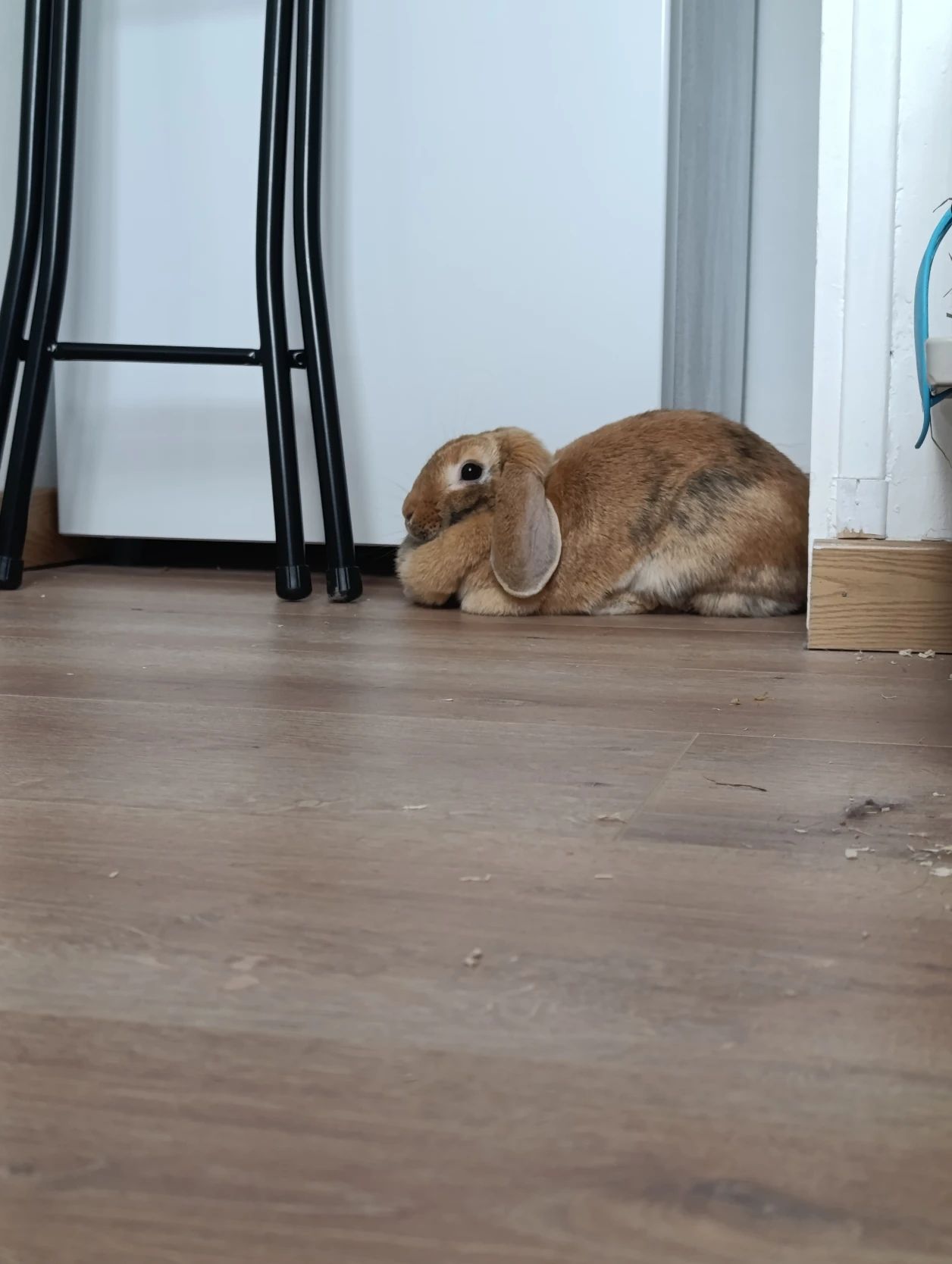 image-18