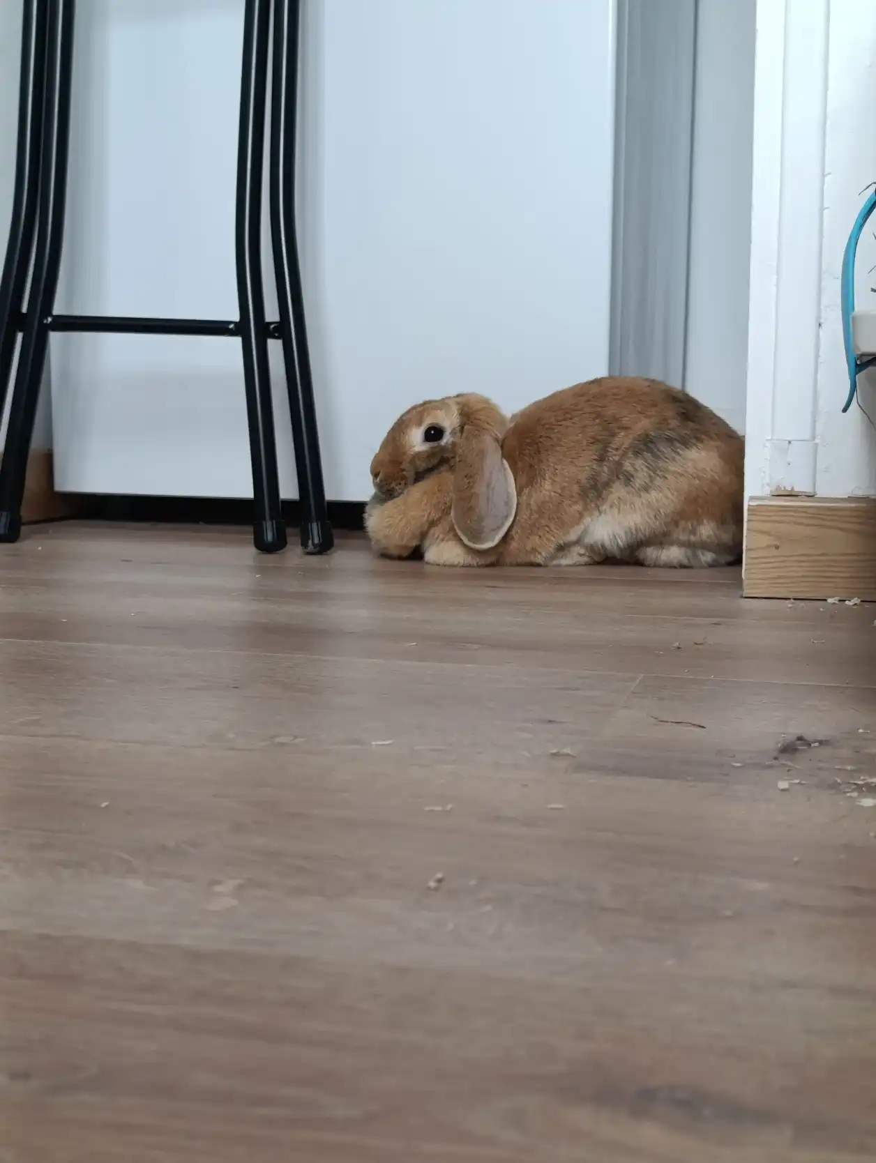 image-18