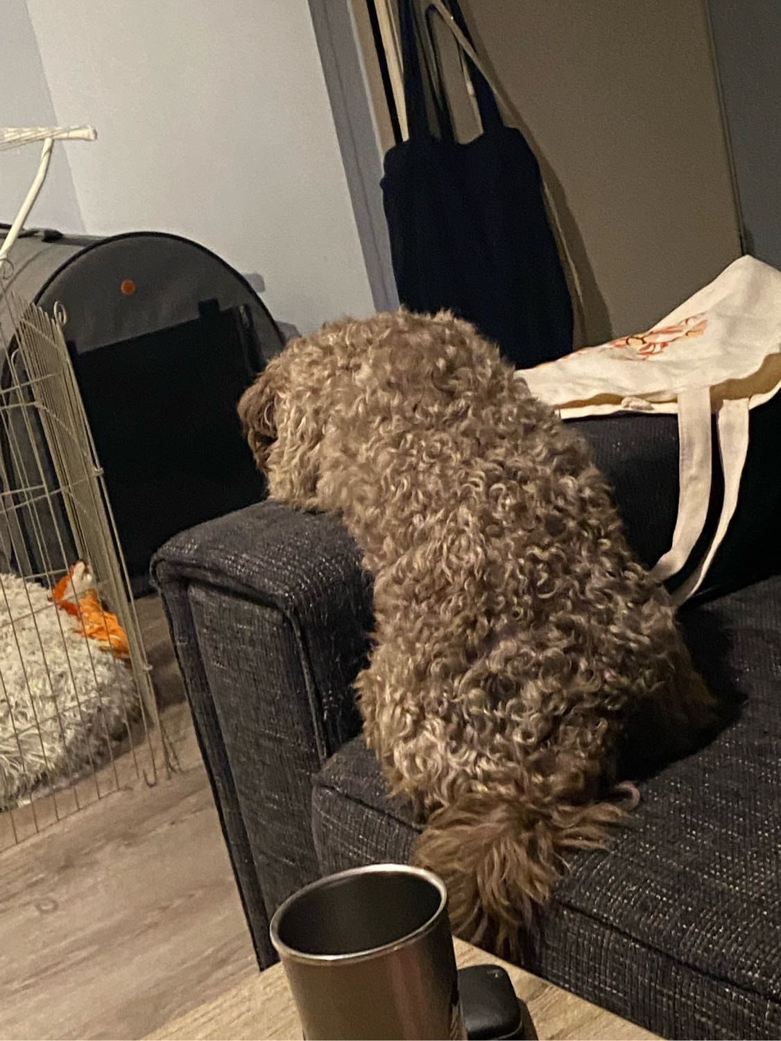 image-12
