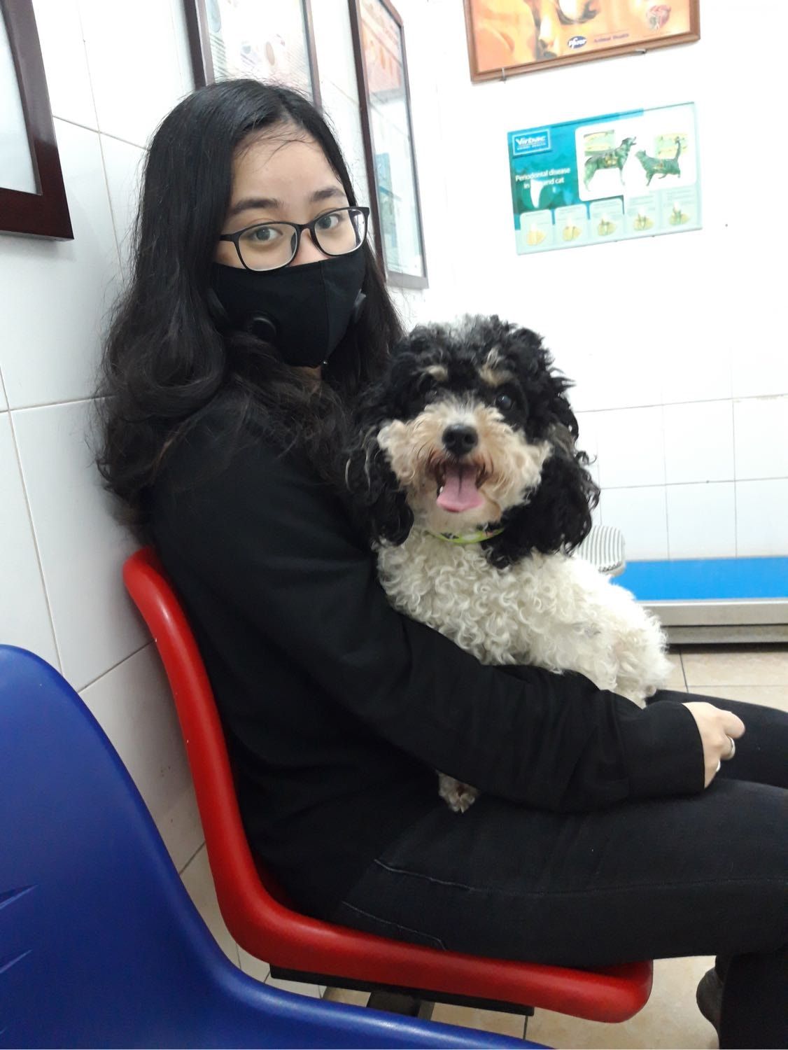 image-5