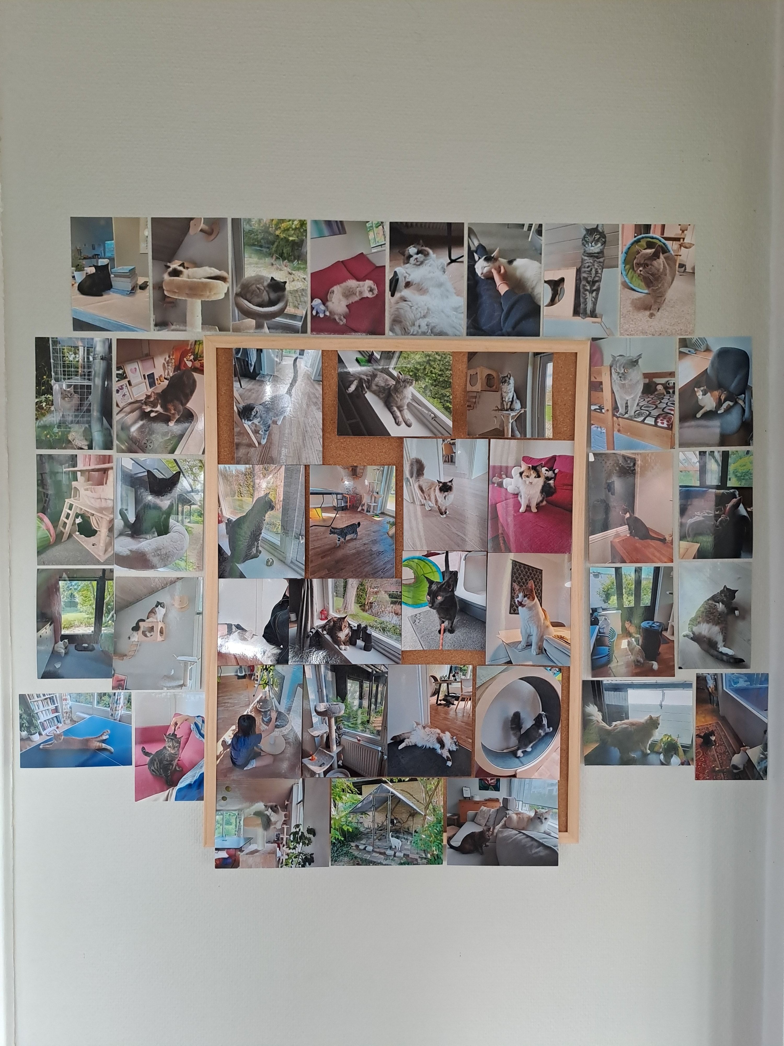 image-38