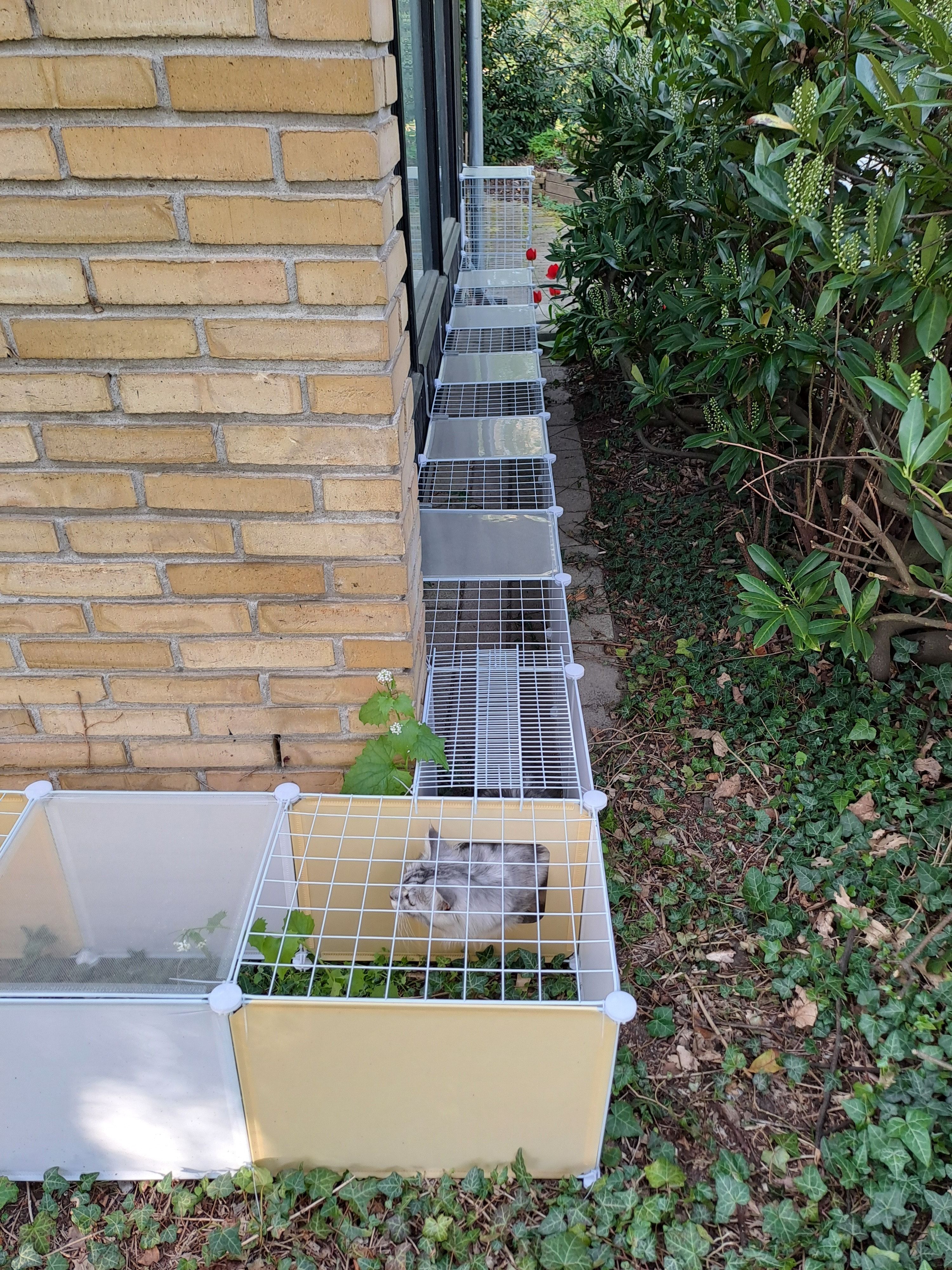 image-47