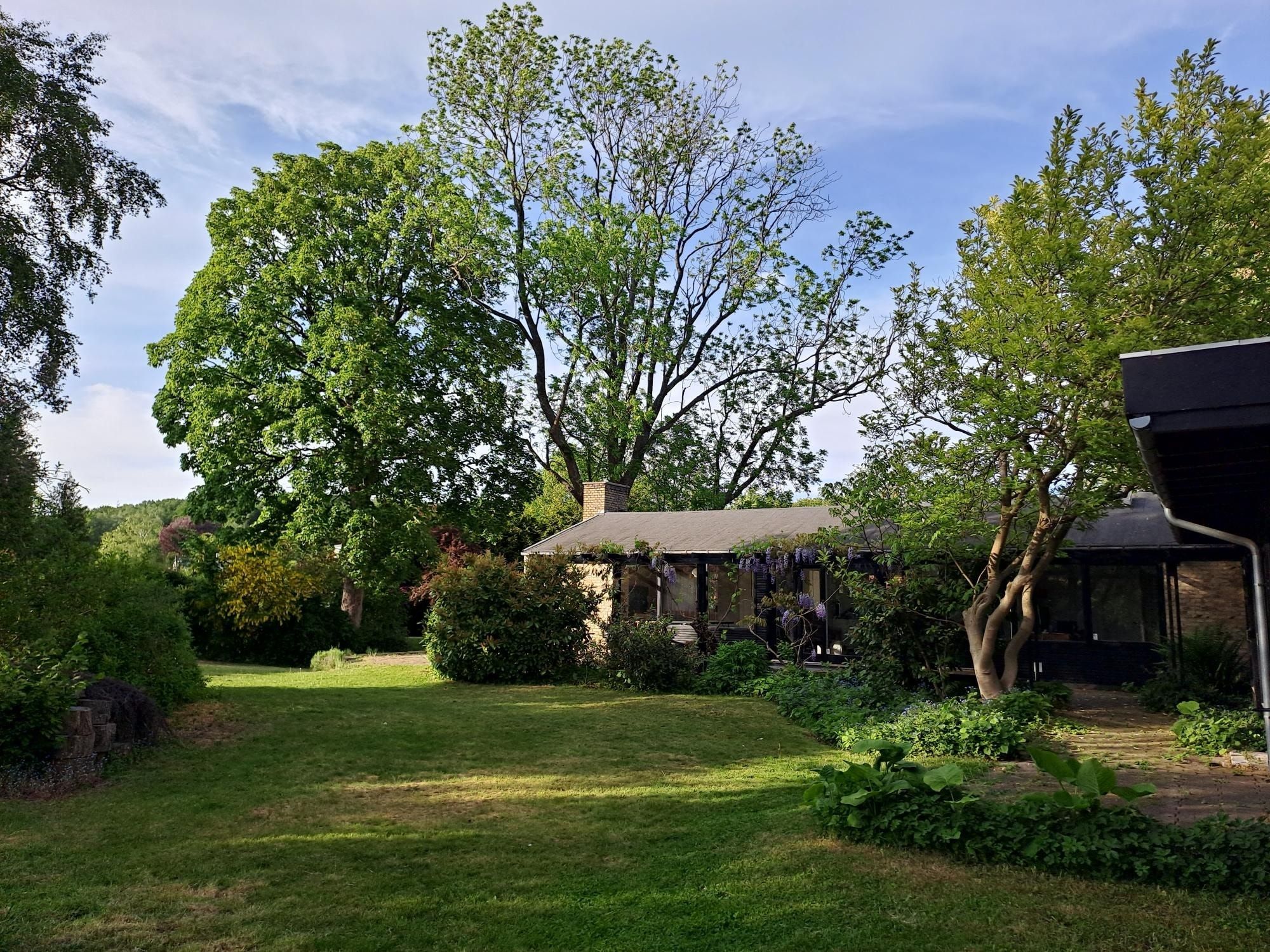 image-23