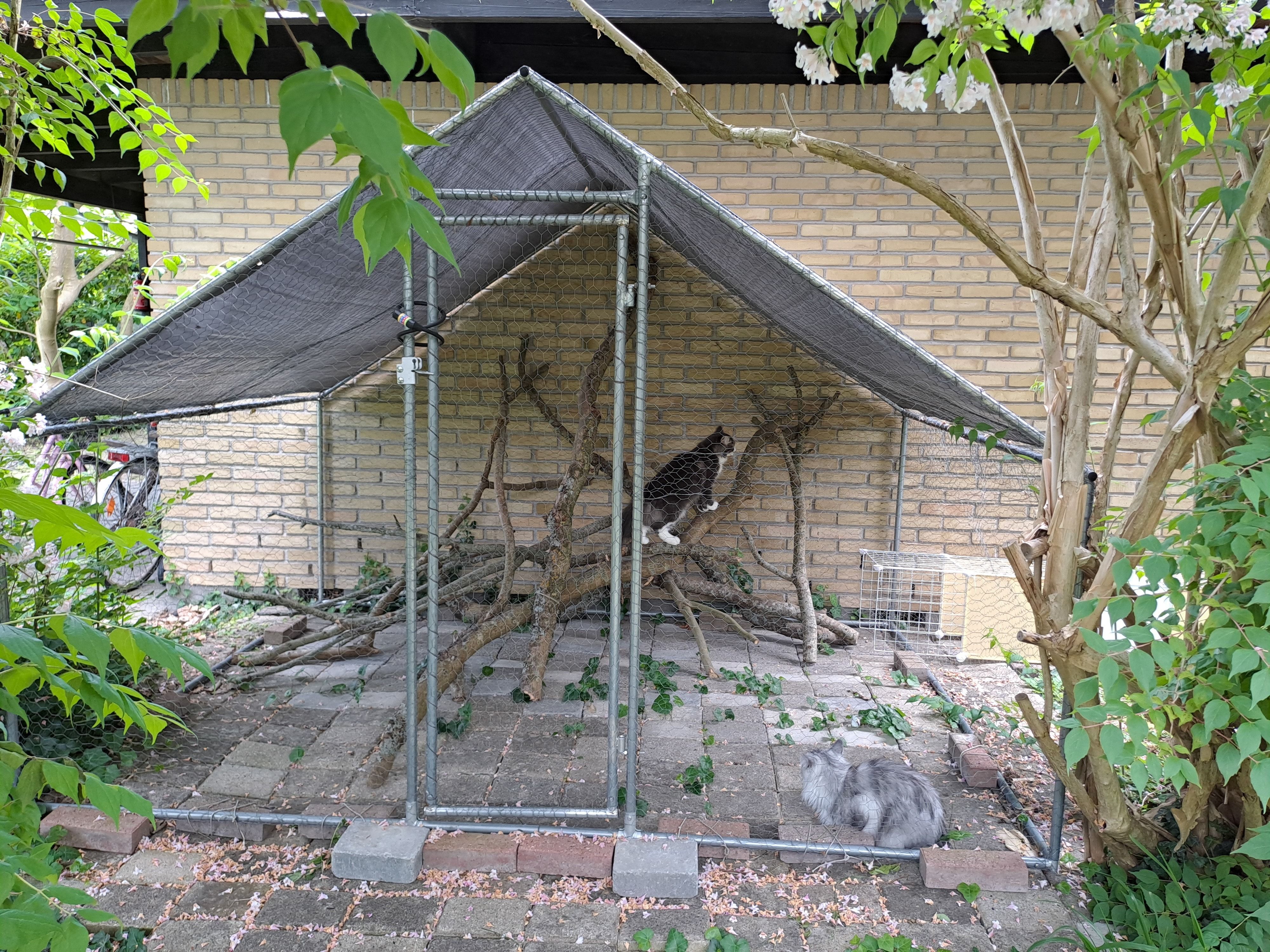 image-42