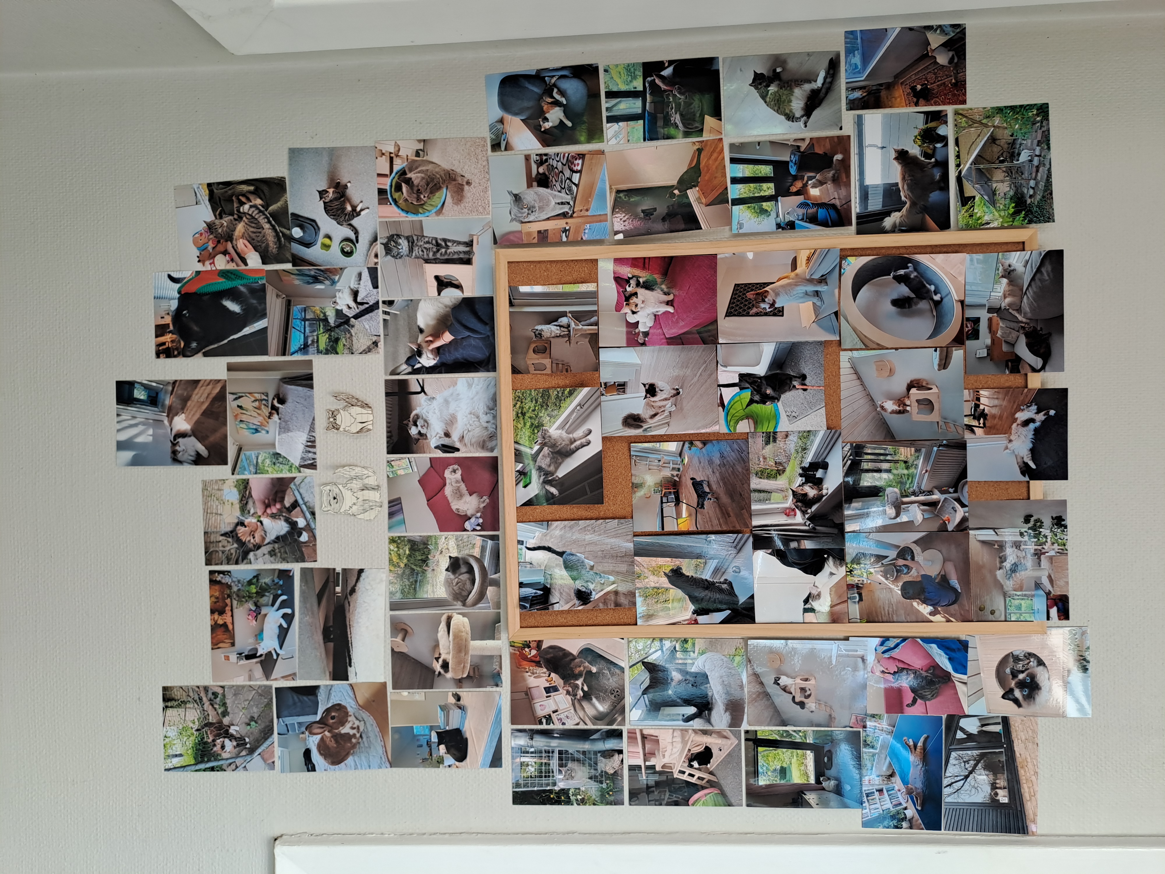 image-38