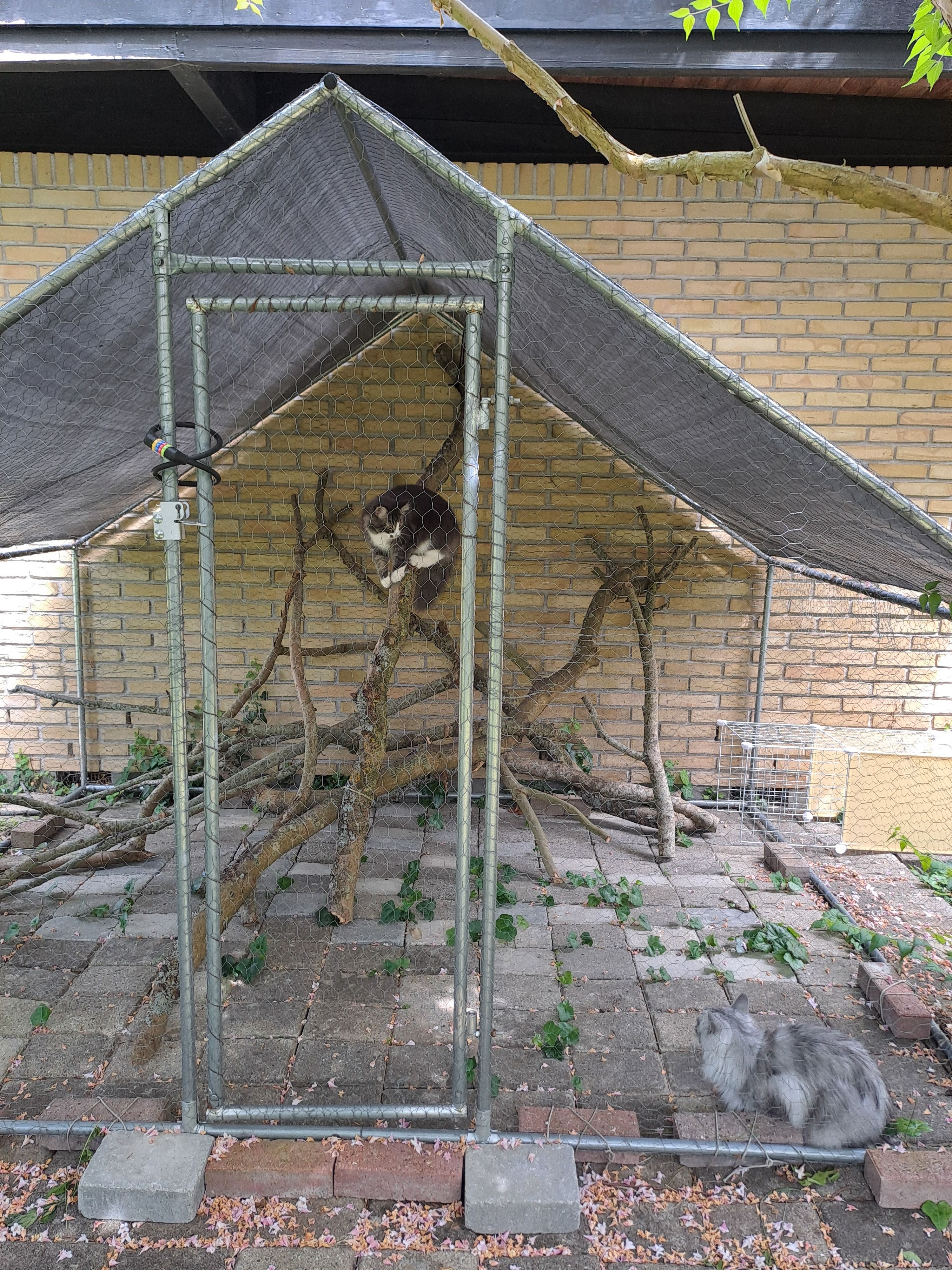 image-43