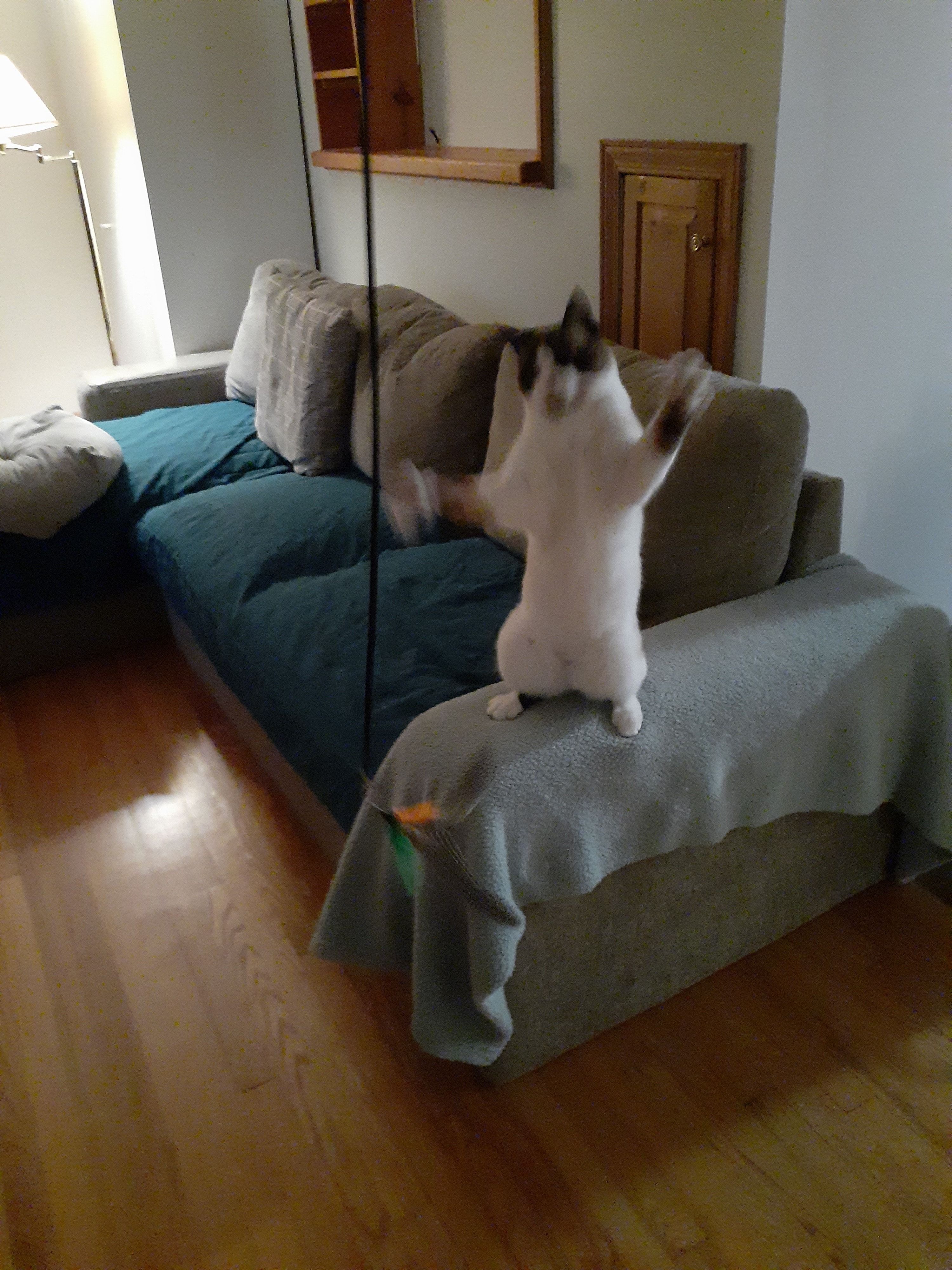 image-27