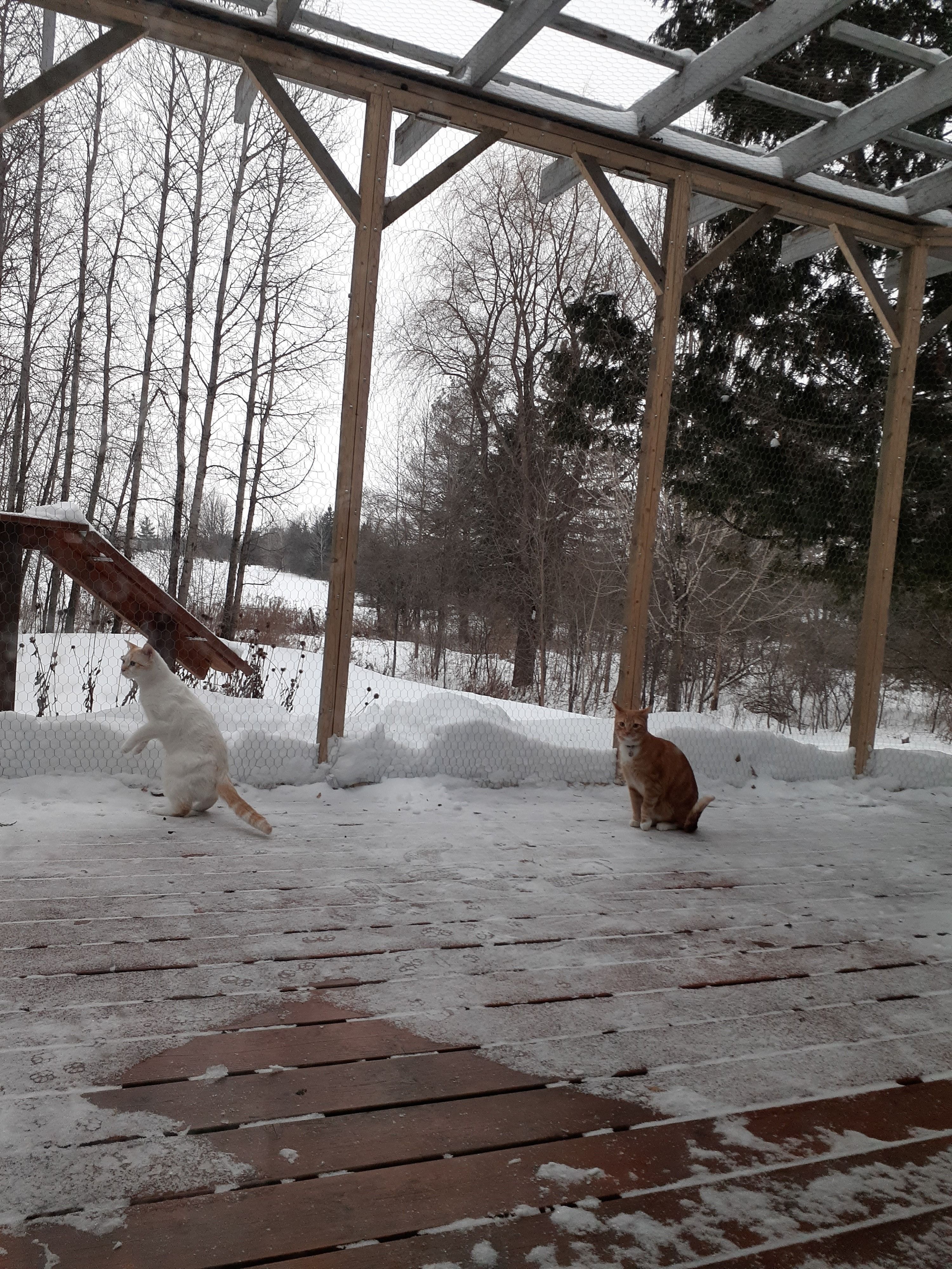 image-32