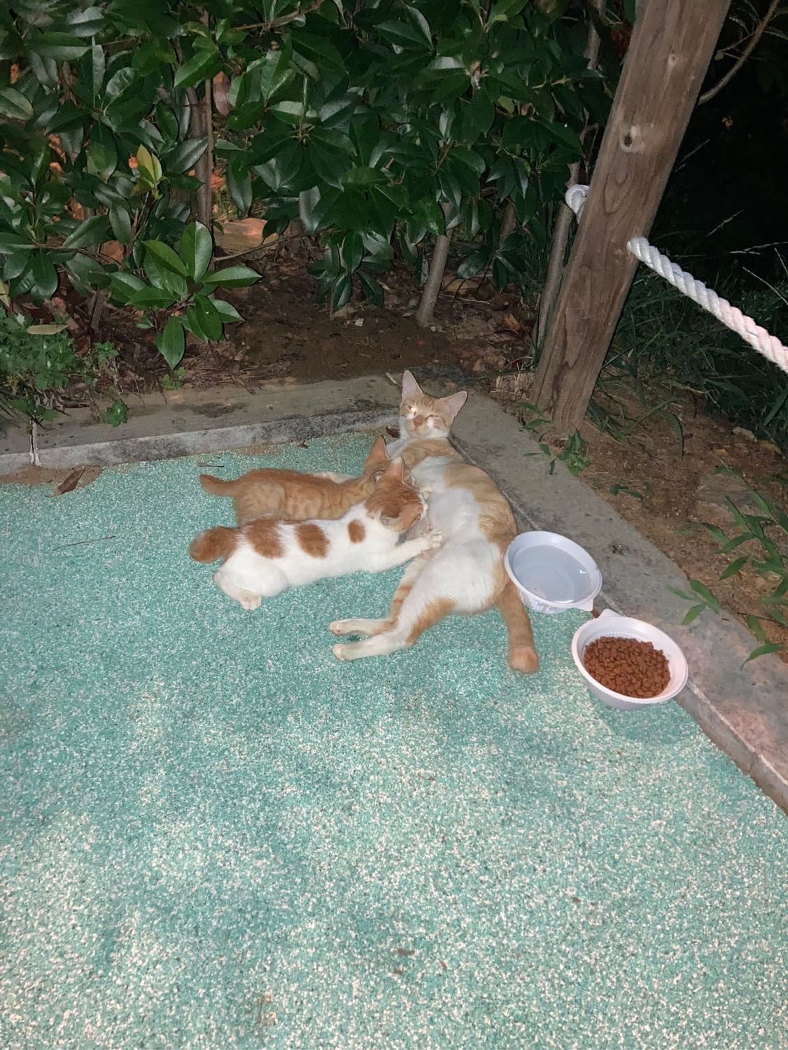 image-5