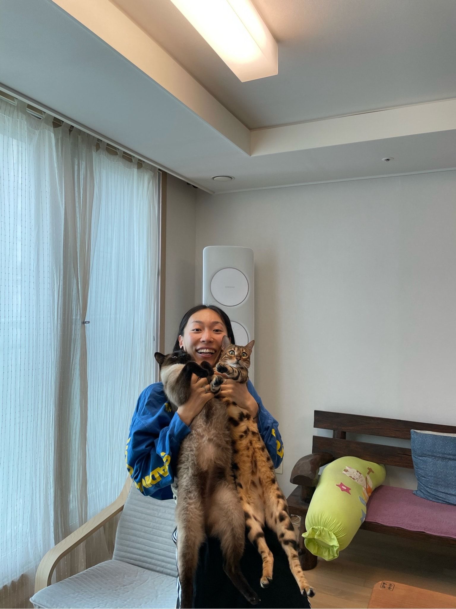 image-2