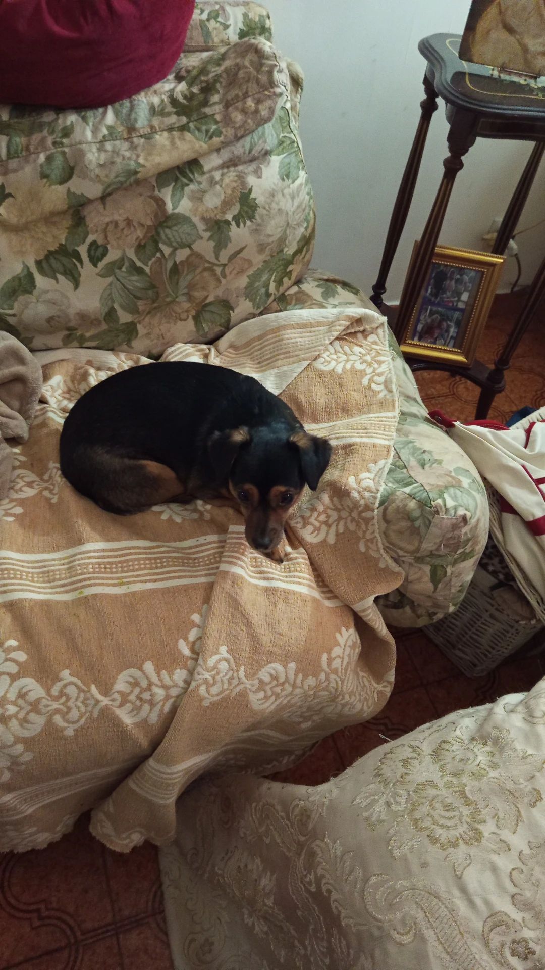 image-8