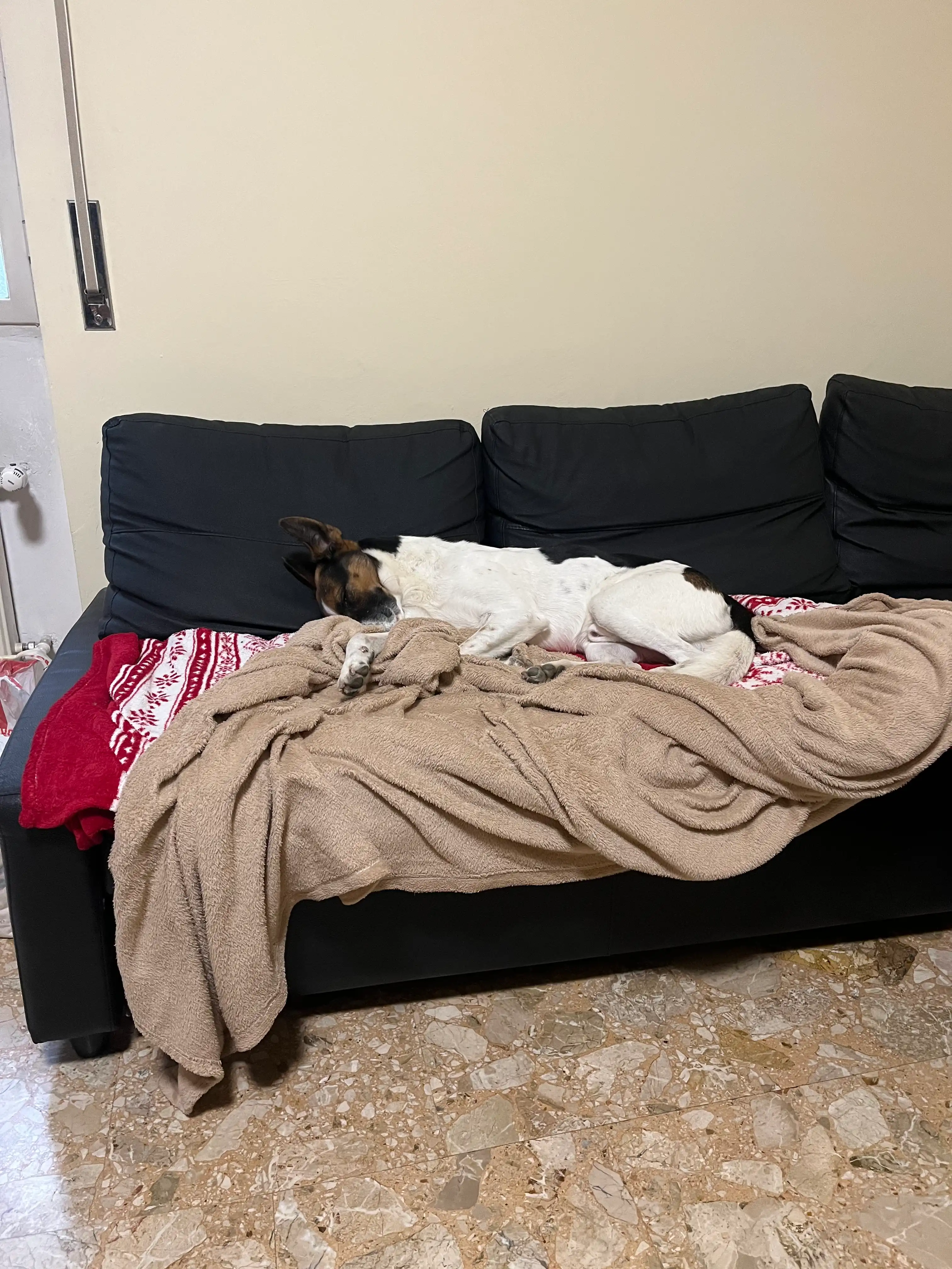 image-16