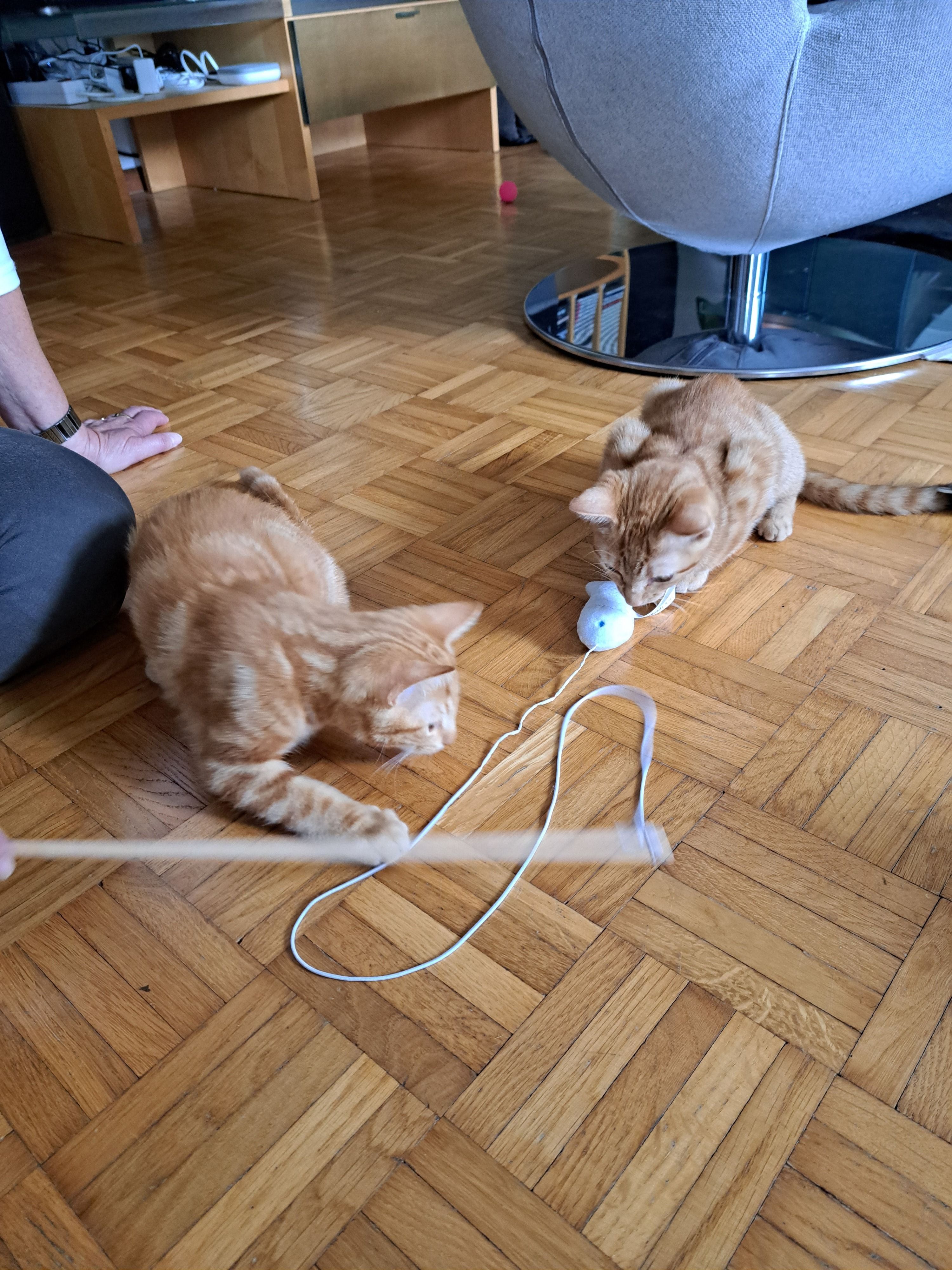 image-15