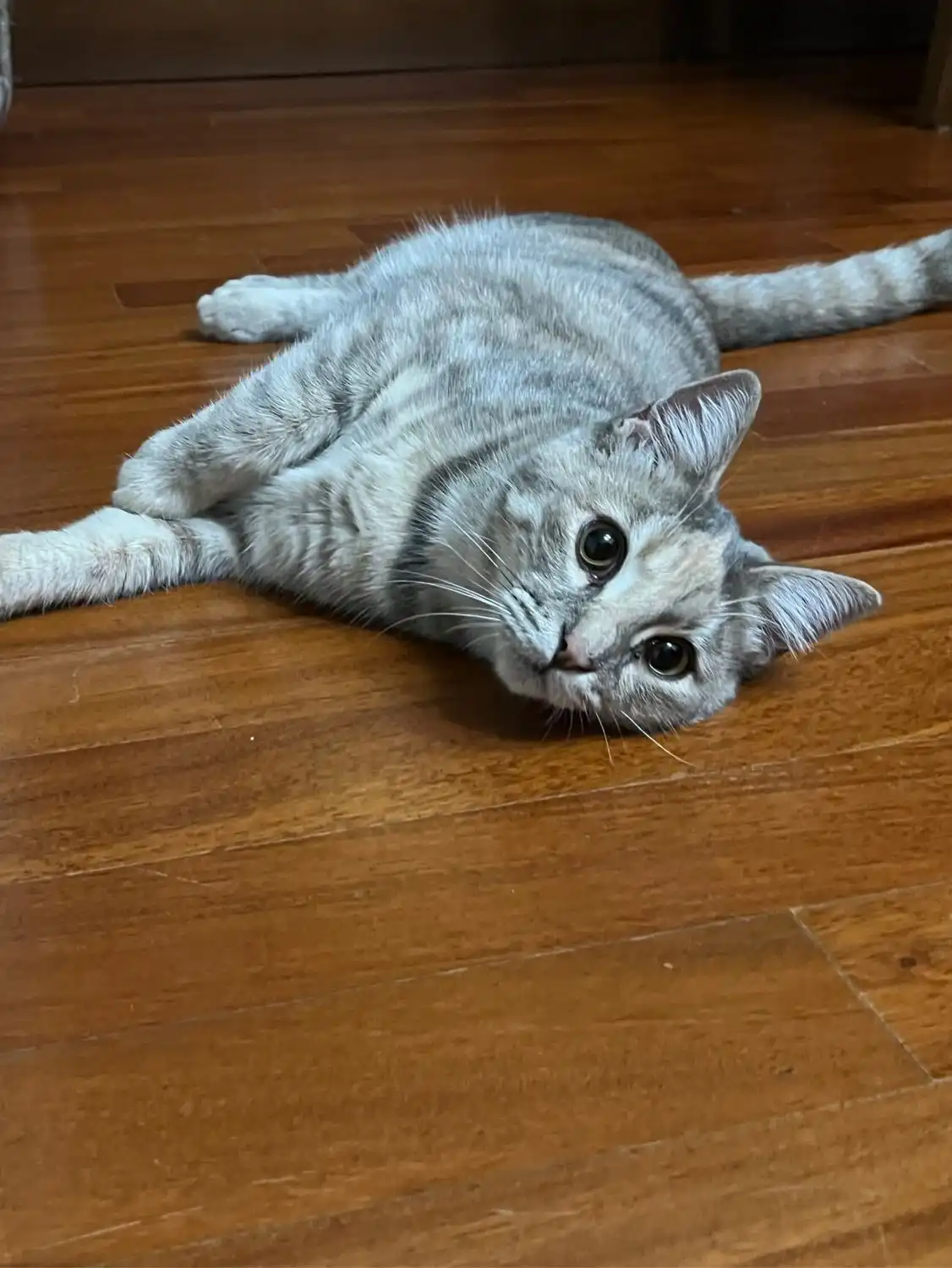 image-6
