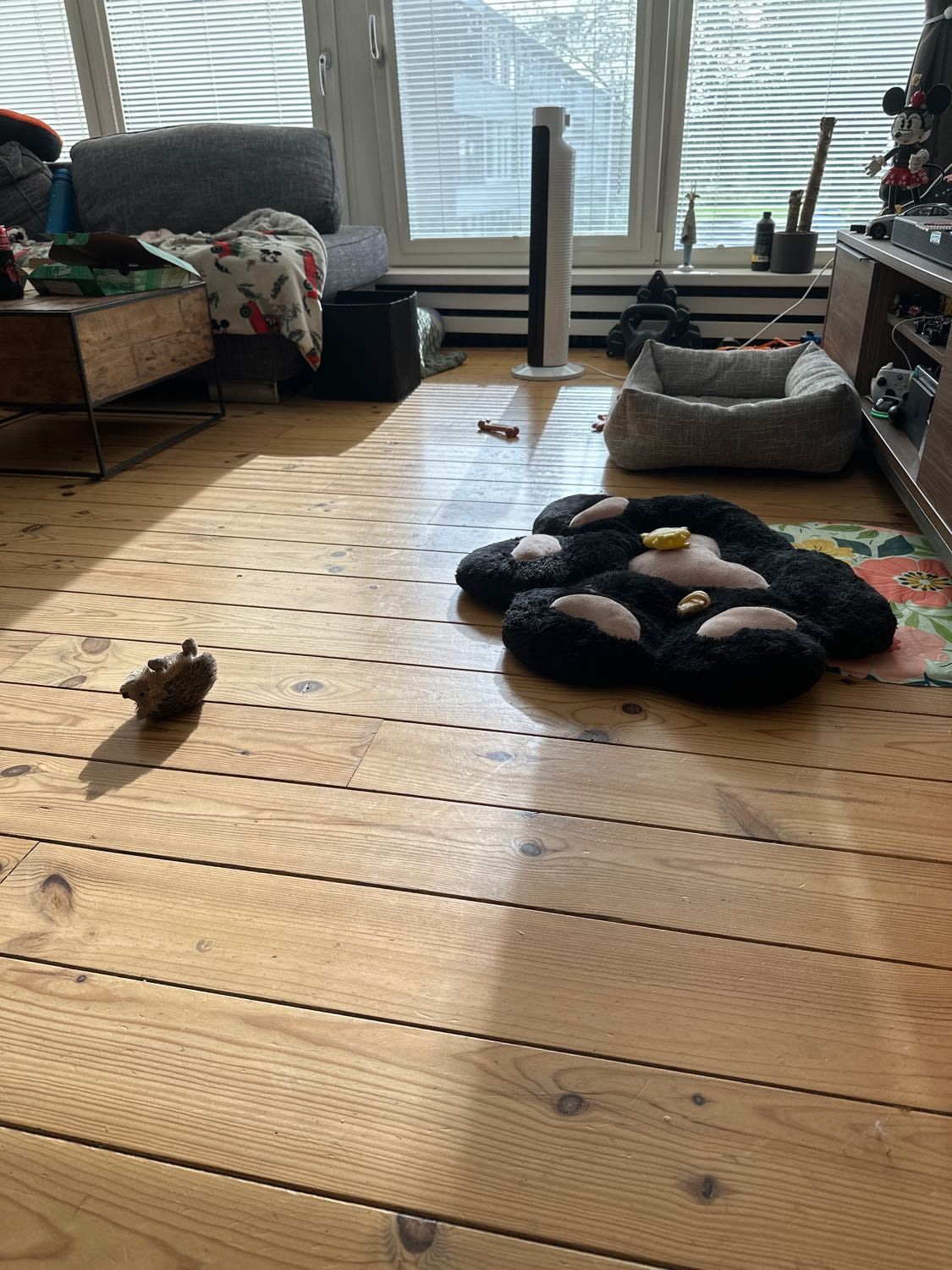 image-13