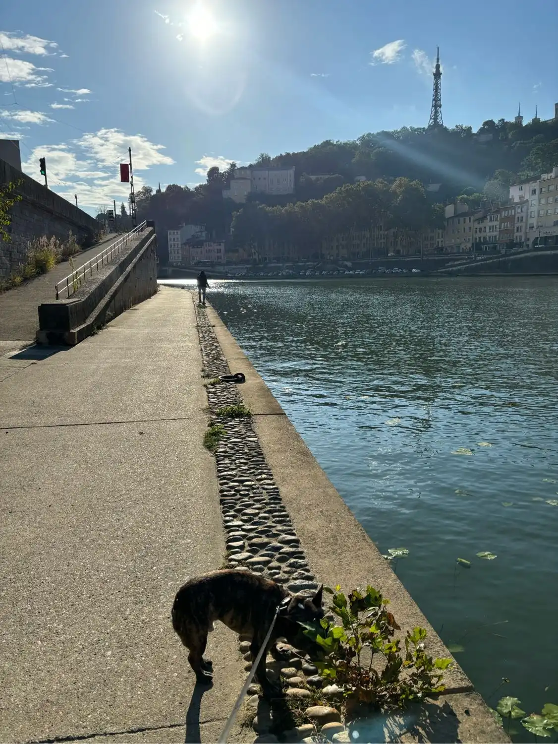 image-8