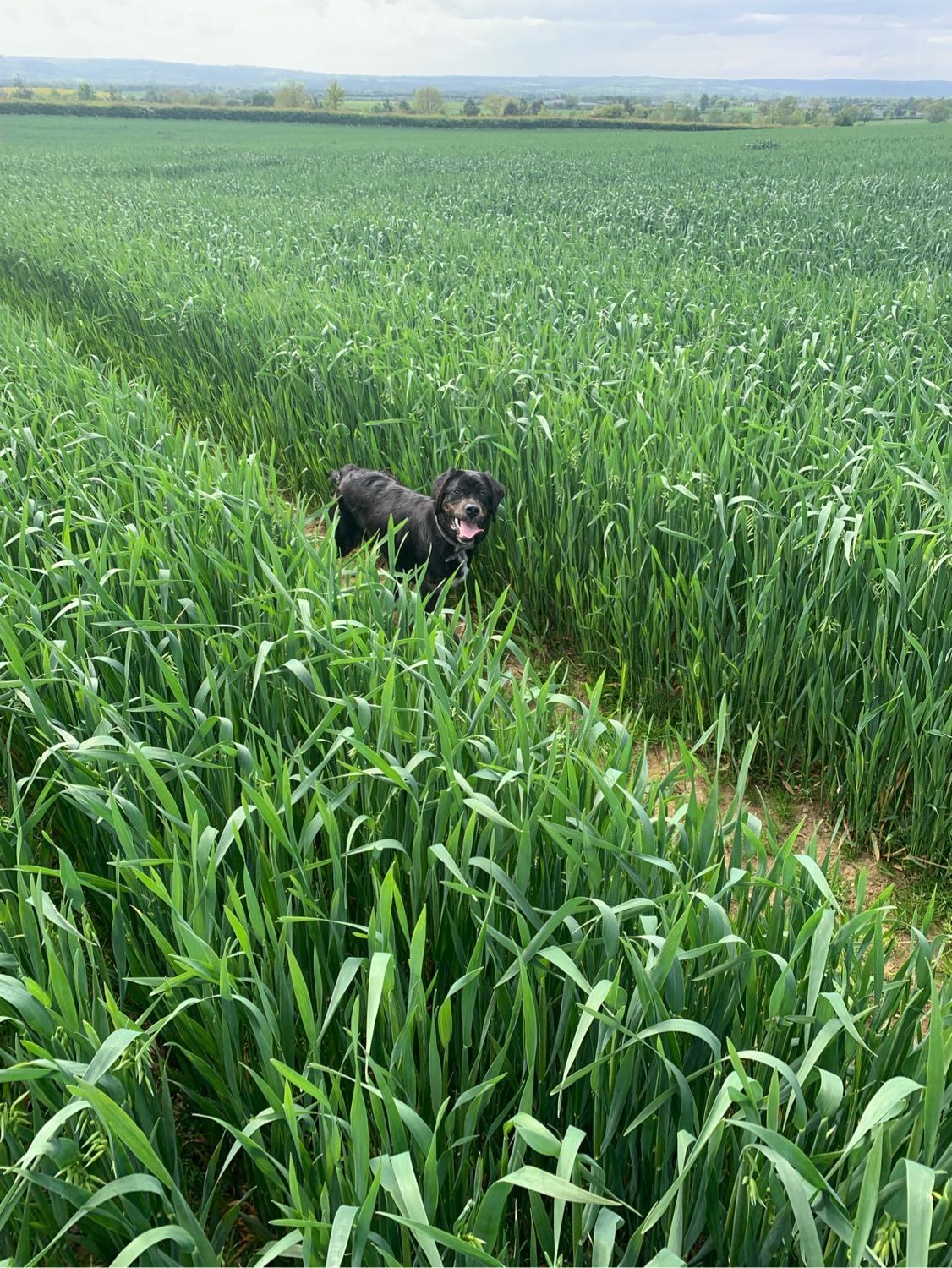 image-6