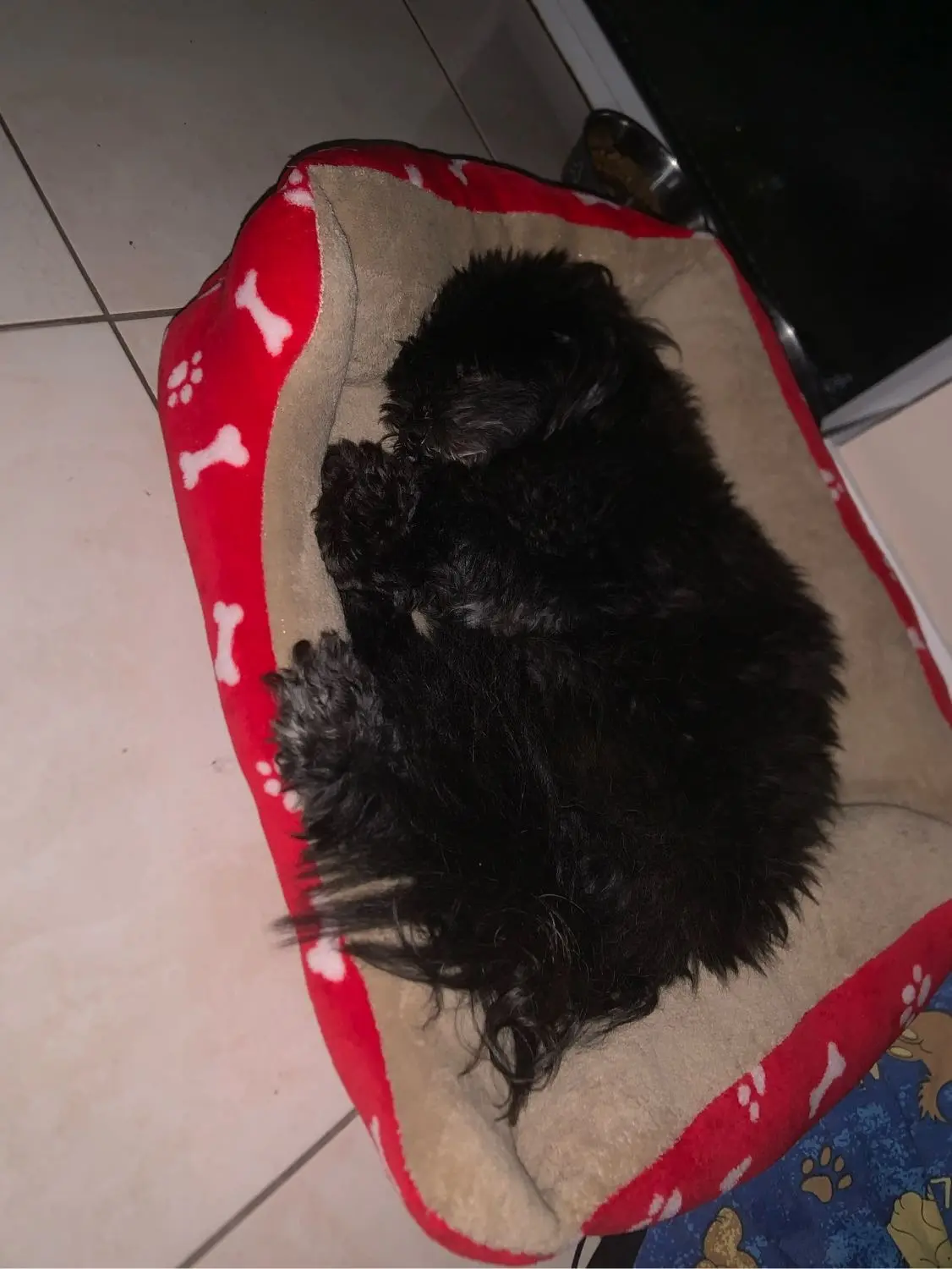 image-4