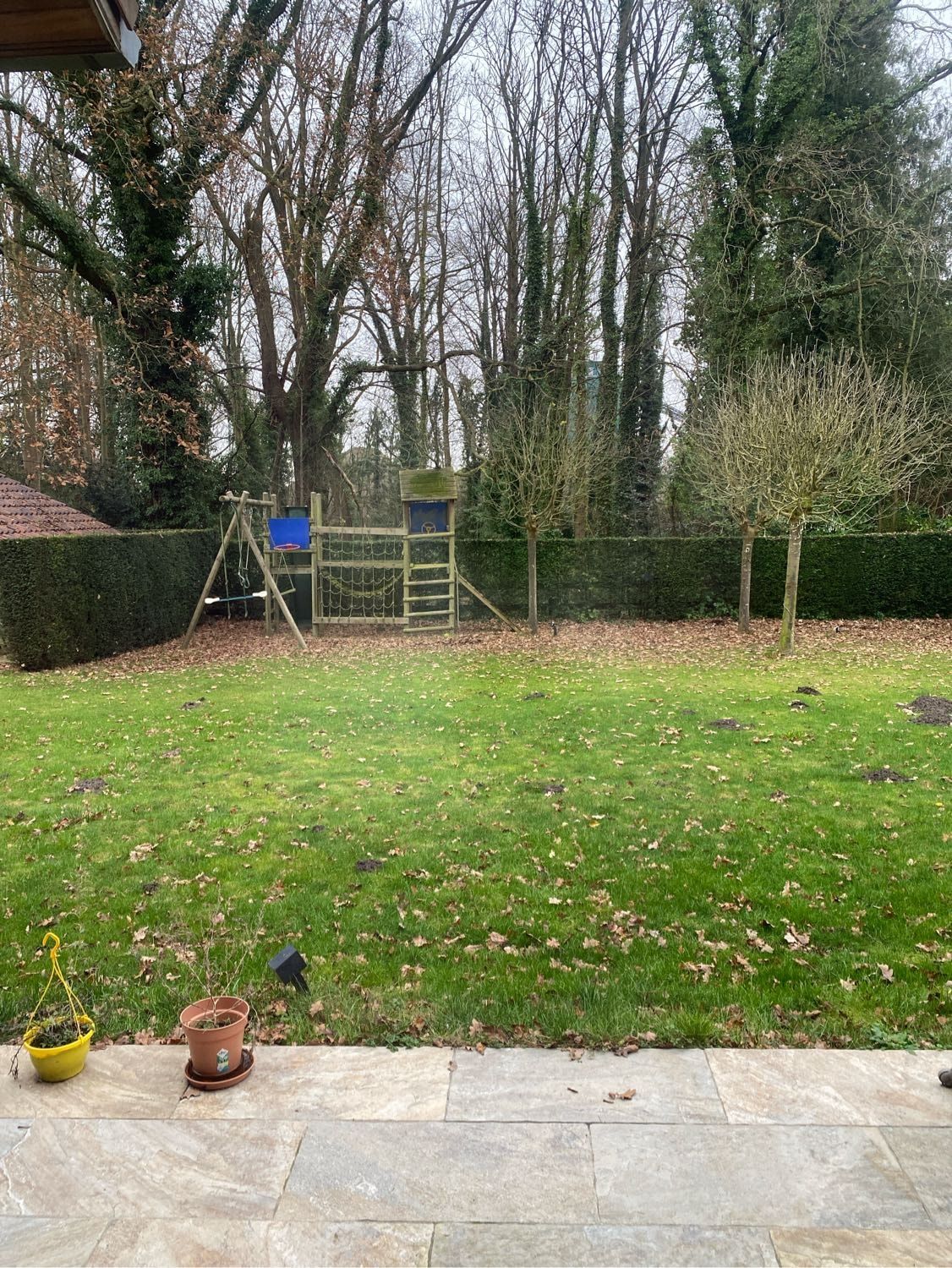 image-3