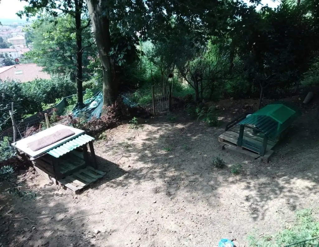image-16