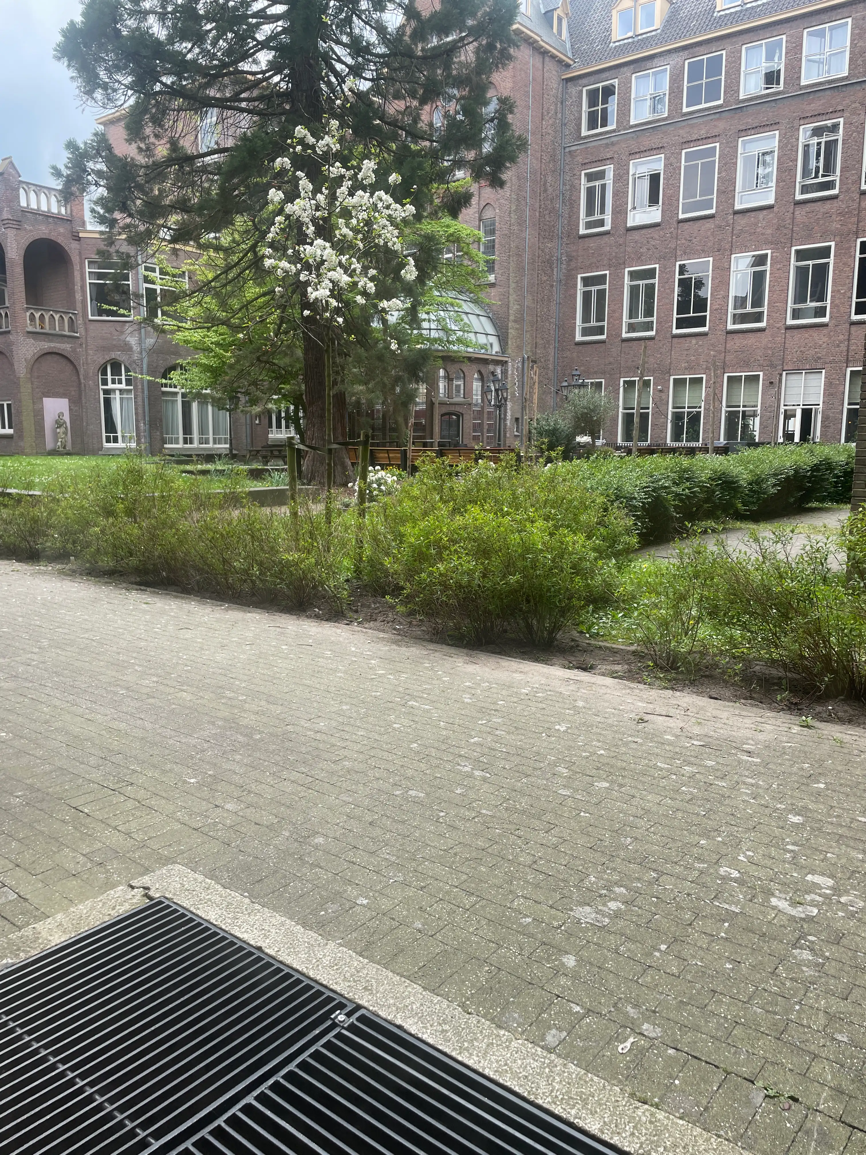 image-18