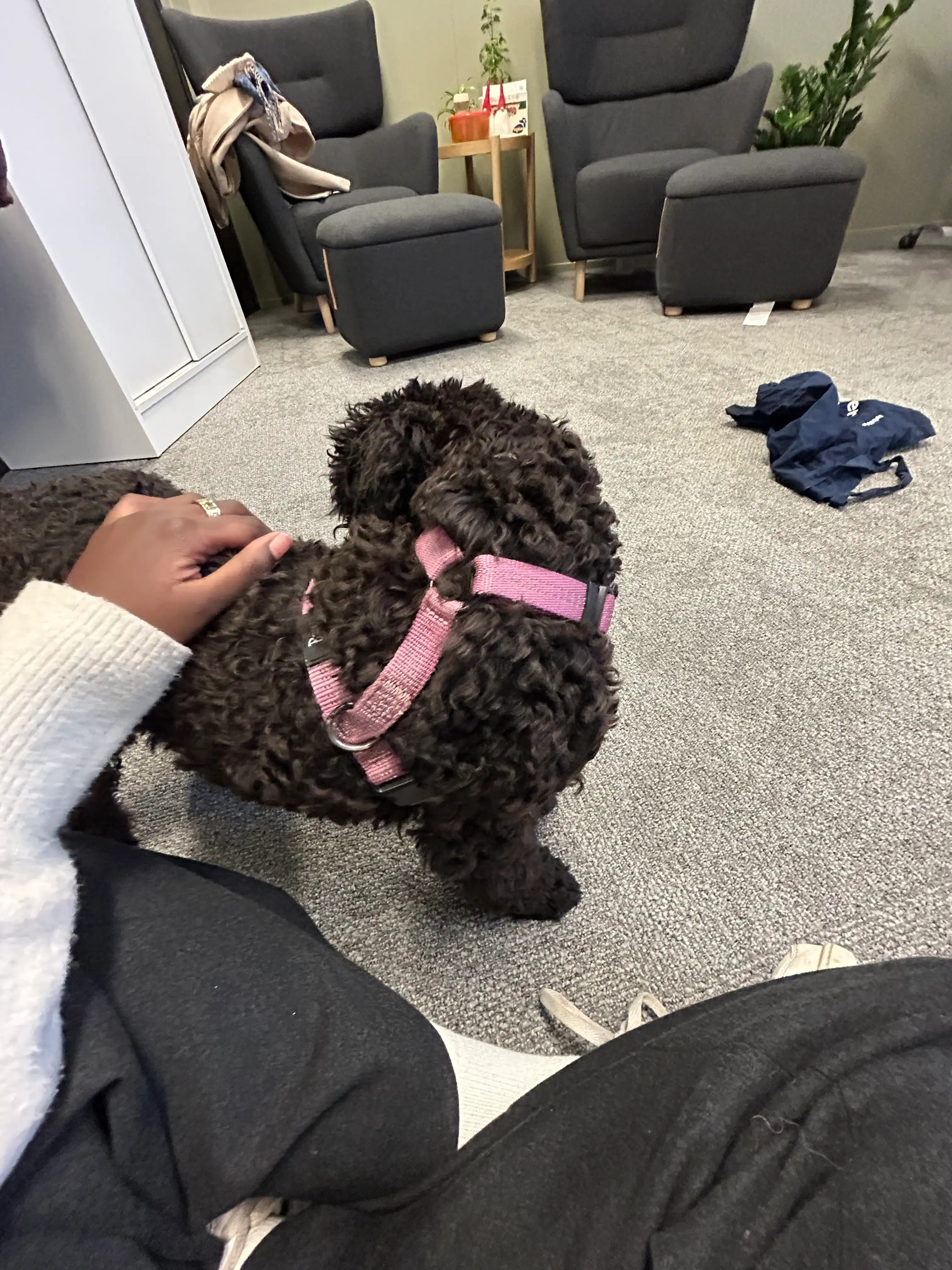 image-7