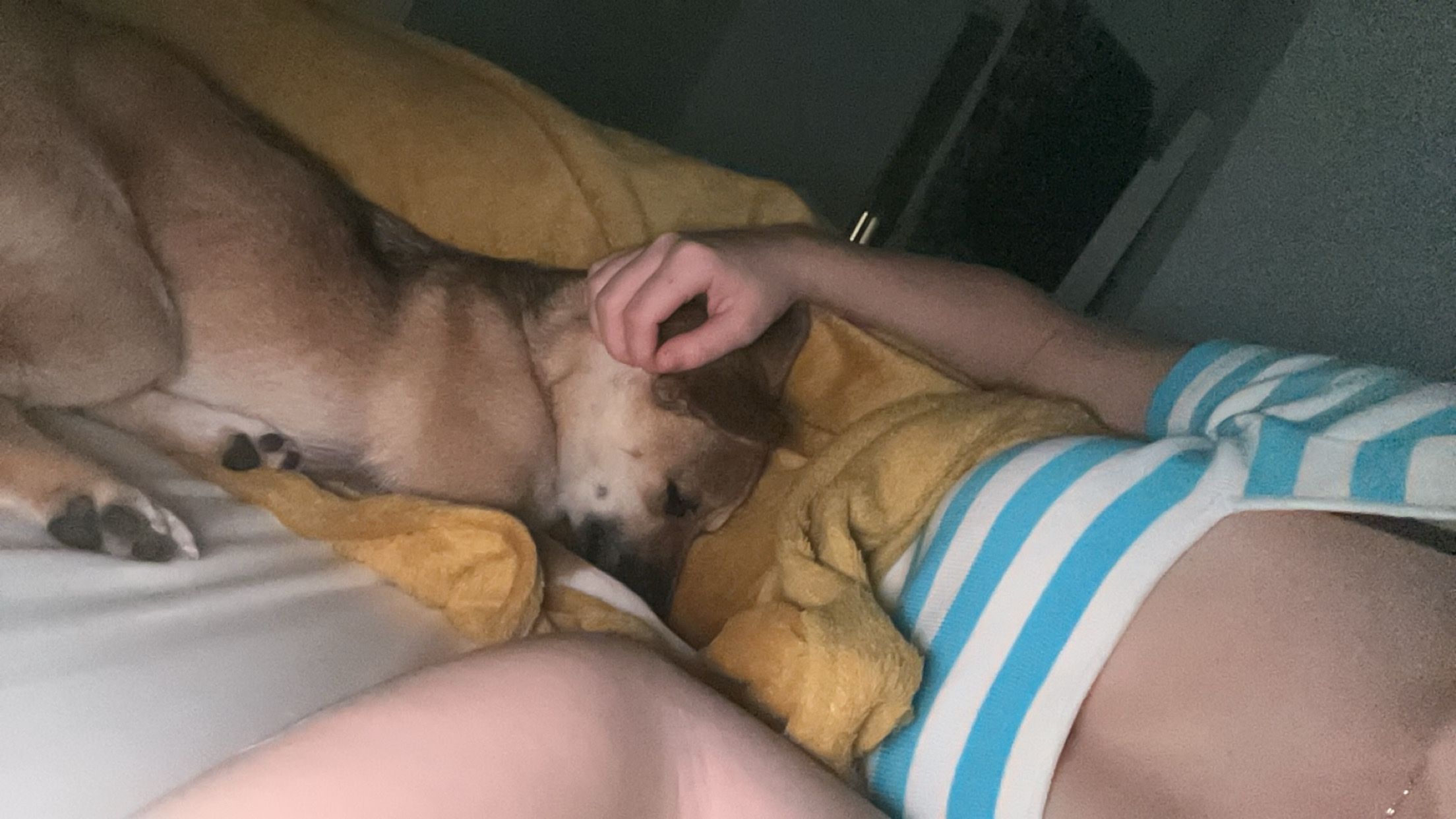 image-6