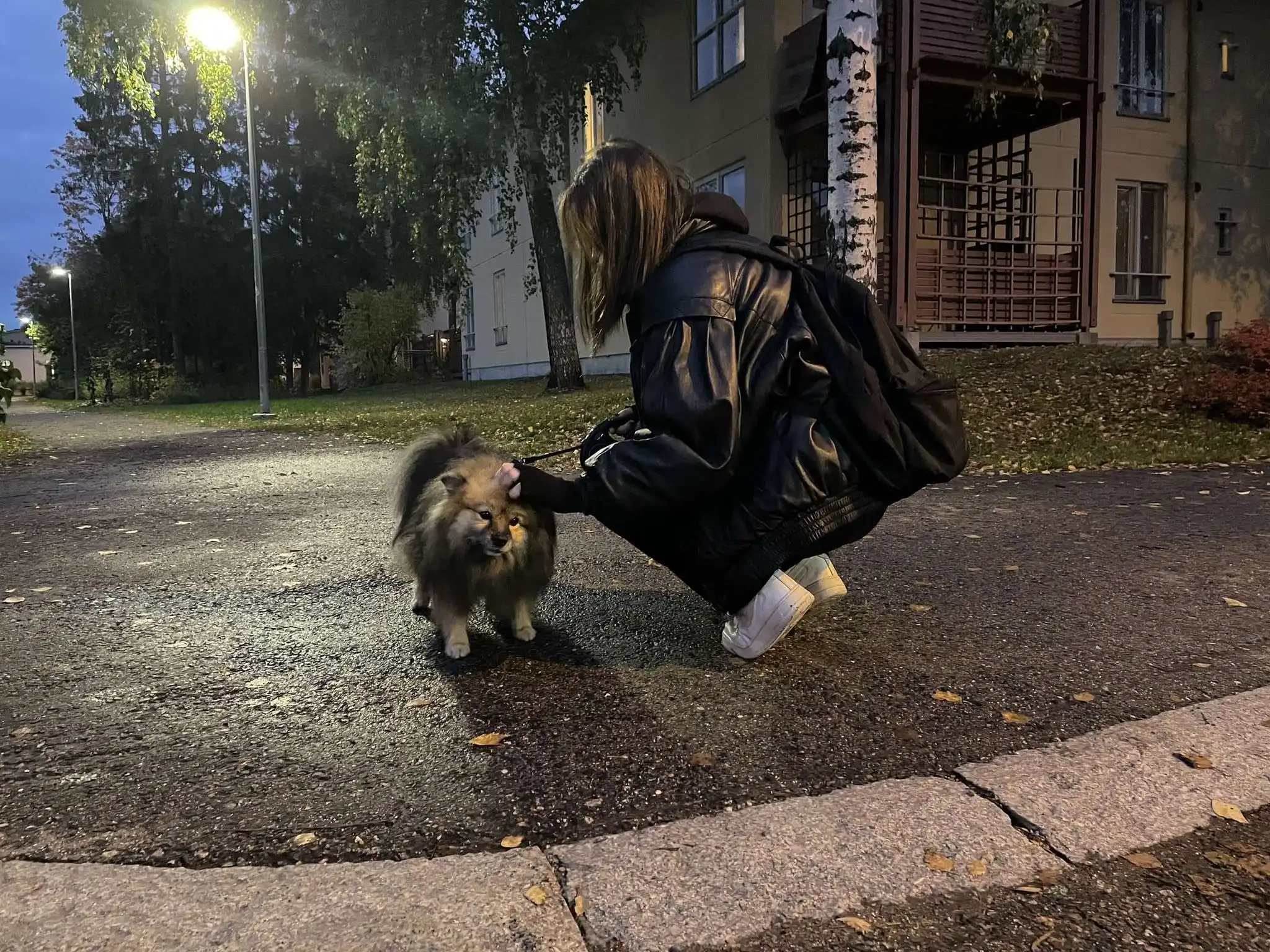 image-6