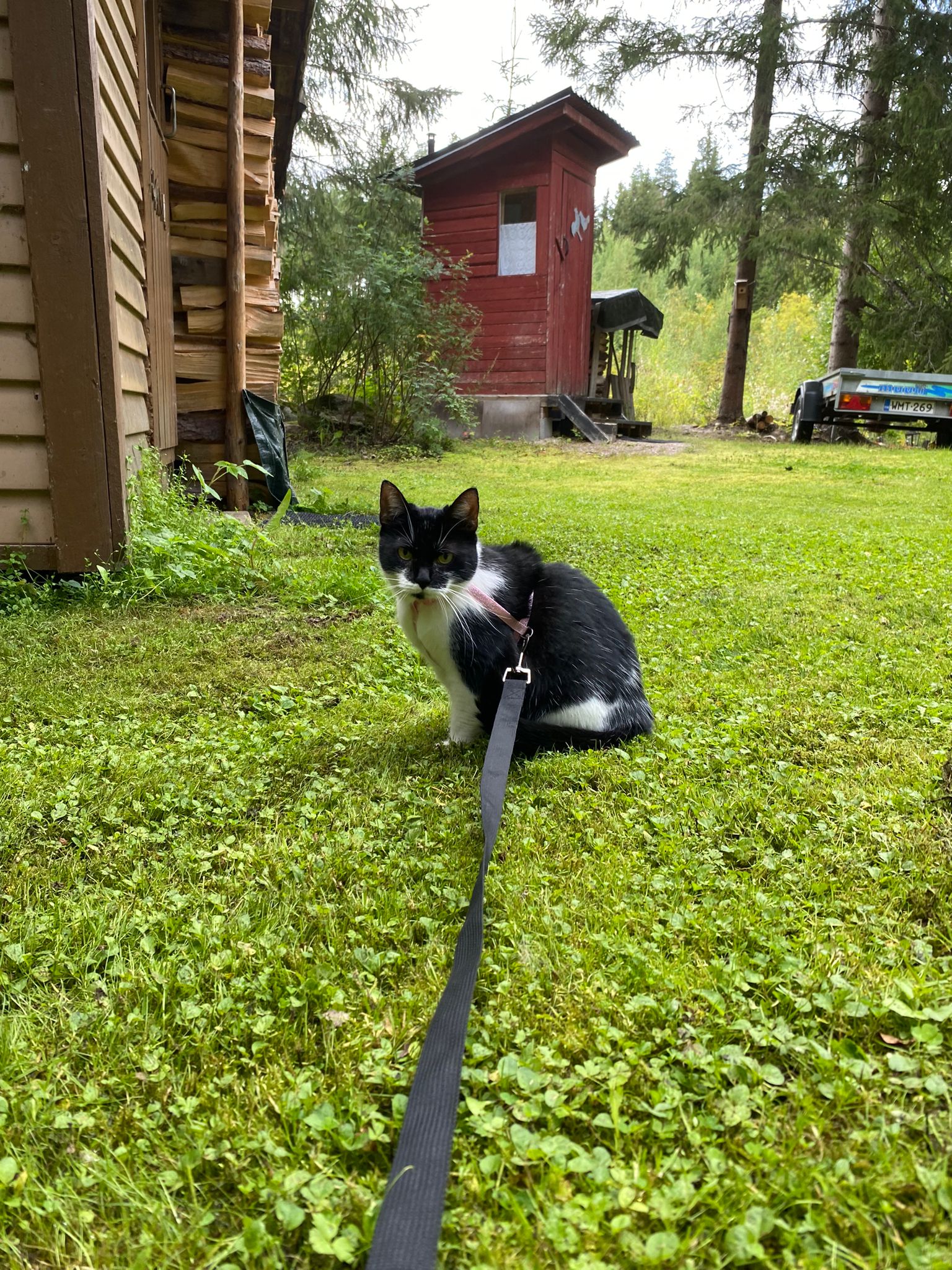 image-15