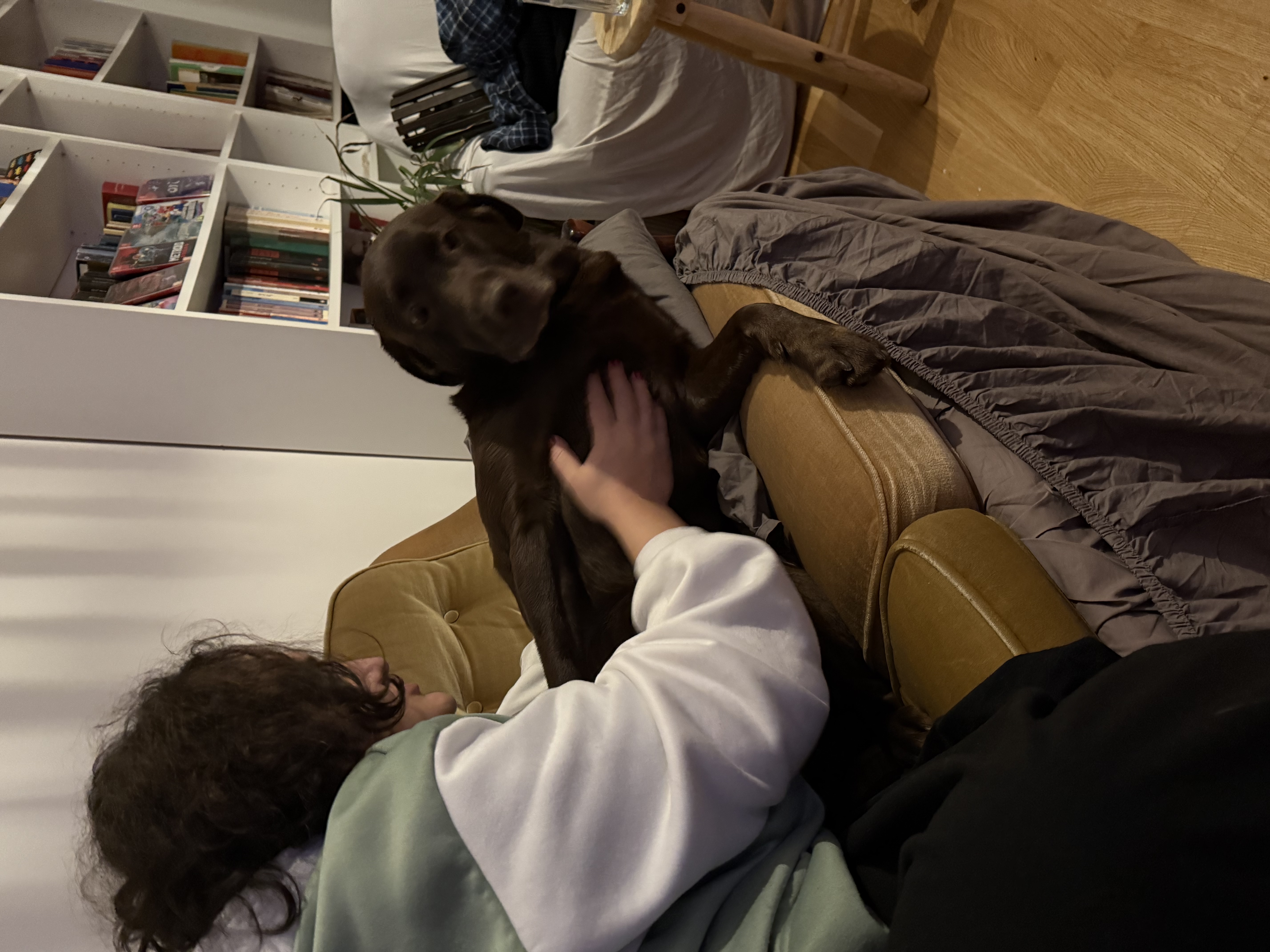 image-7